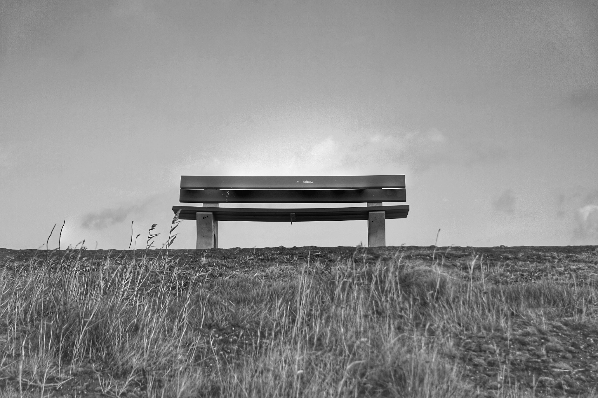 Sony Cyber-shot DSC-RX100 III + Sony 24-70mm F1.8-2.8 sample photo. Just a bench photography