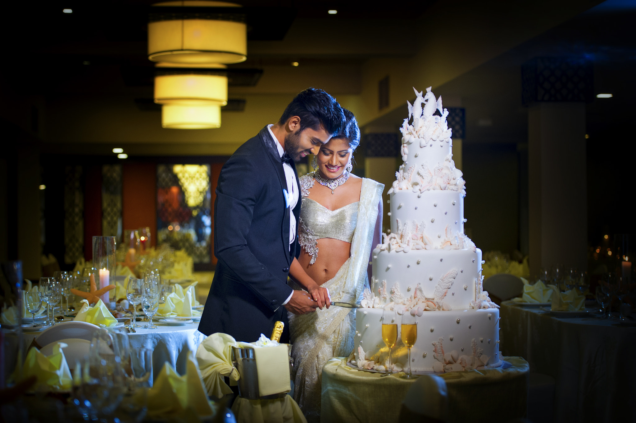 Nikon D3S sample photo. Club hotel dolphin photography