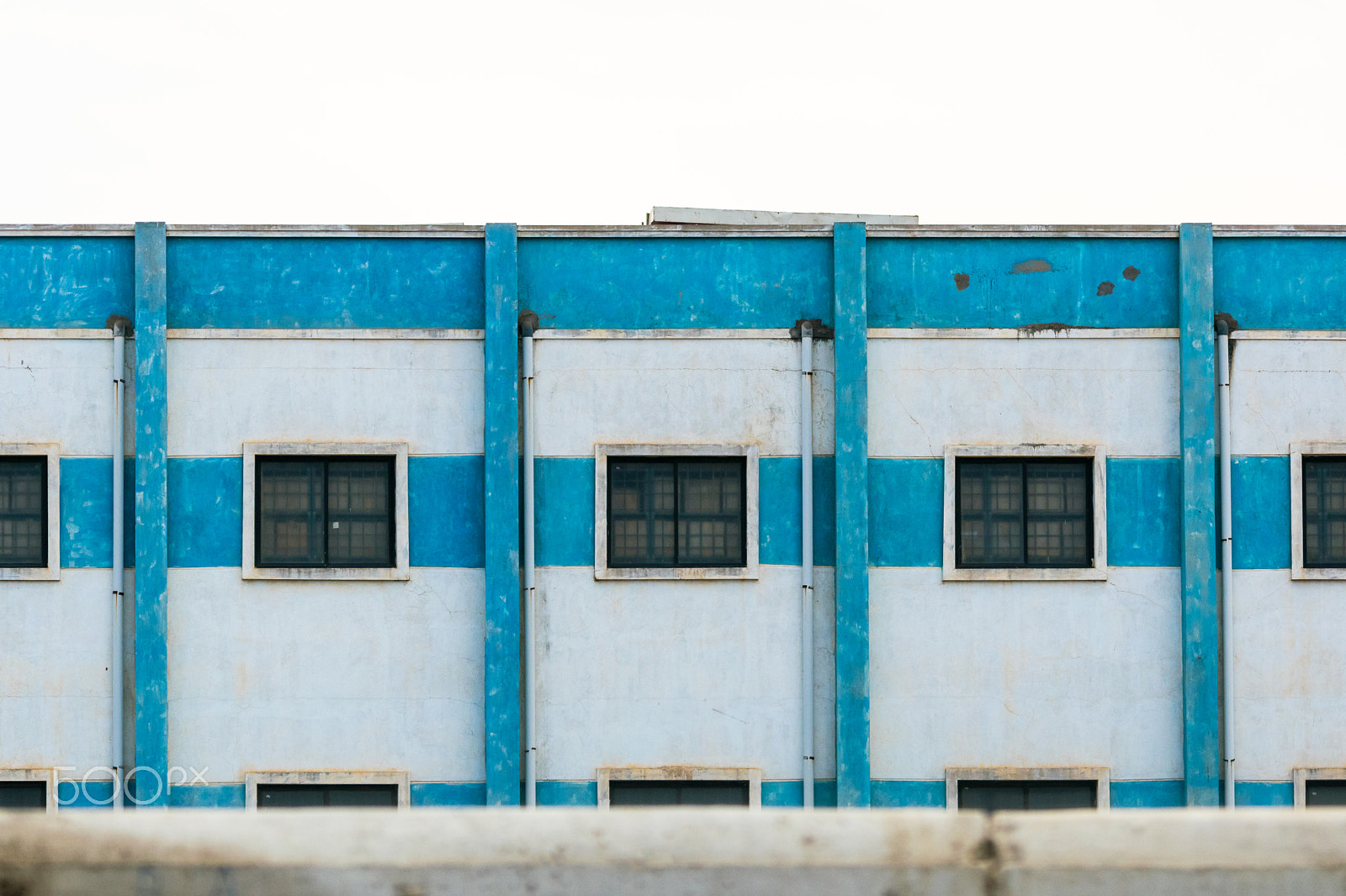 Sigma 150-500mm F5-6.3 DG OS HSM sample photo. Windows photography