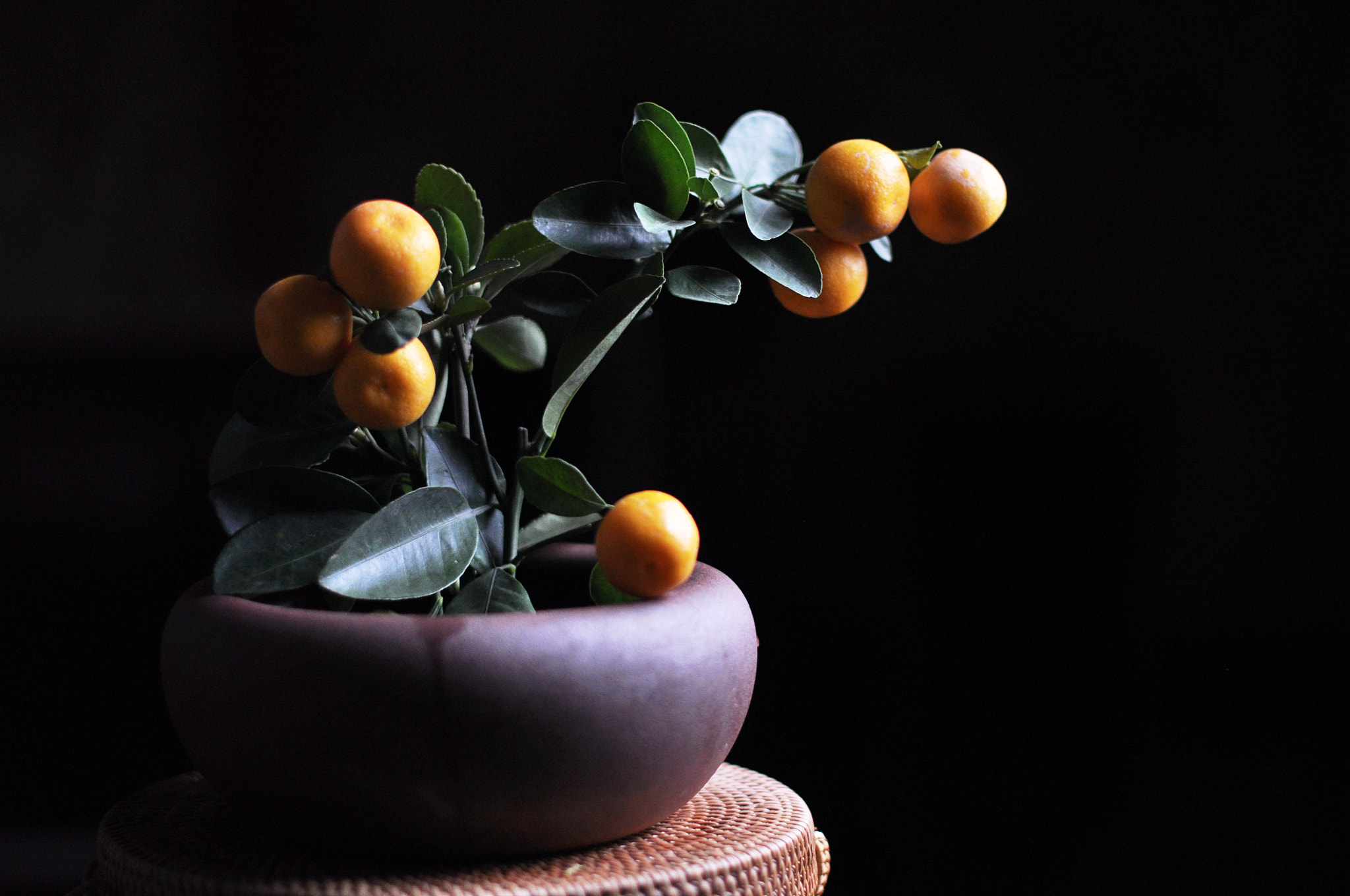 Nikon D90 + Nikon AF-S Nikkor 50mm F1.4G sample photo. Dsc photography