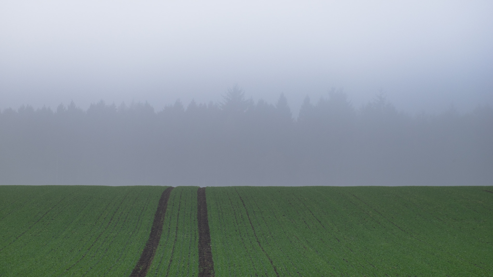 Fujifilm X-T10 + Fujifilm XC 50-230mm F4.5-6.7 OIS II sample photo. Minimal landscape photography