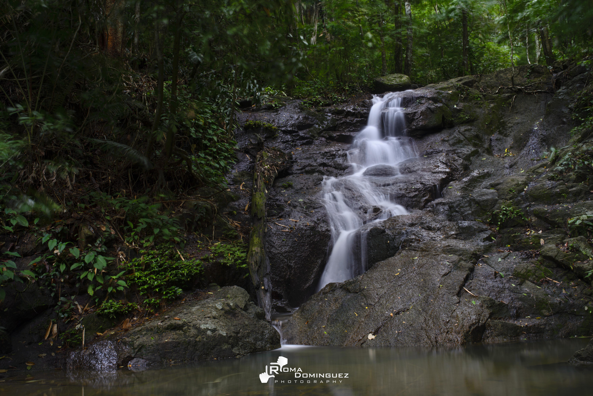 Nikon D610 + Sigma 35mm F1.4 DG HSM Art sample photo. Kathu waterfall, phuket photography
