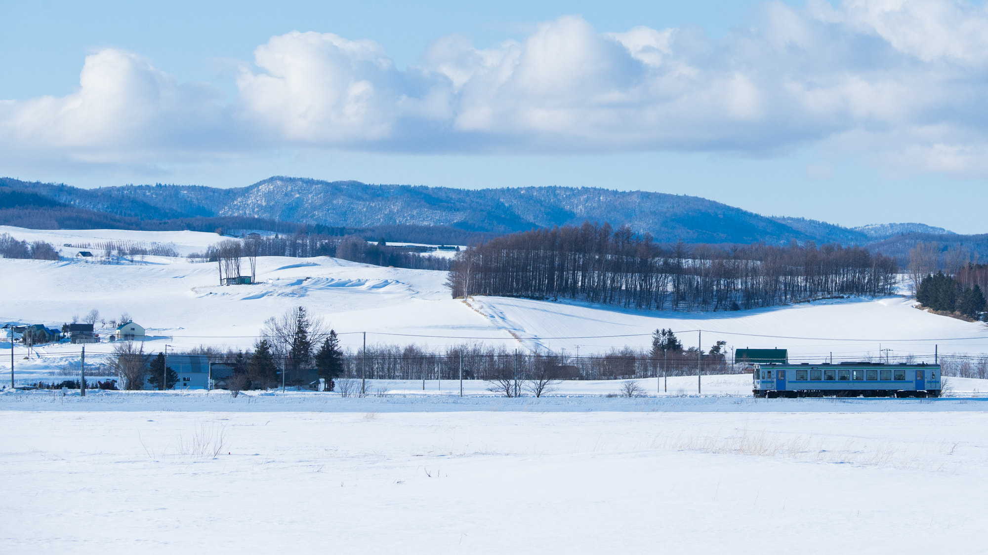 Nikon D800E sample photo. Train for frano-city photography