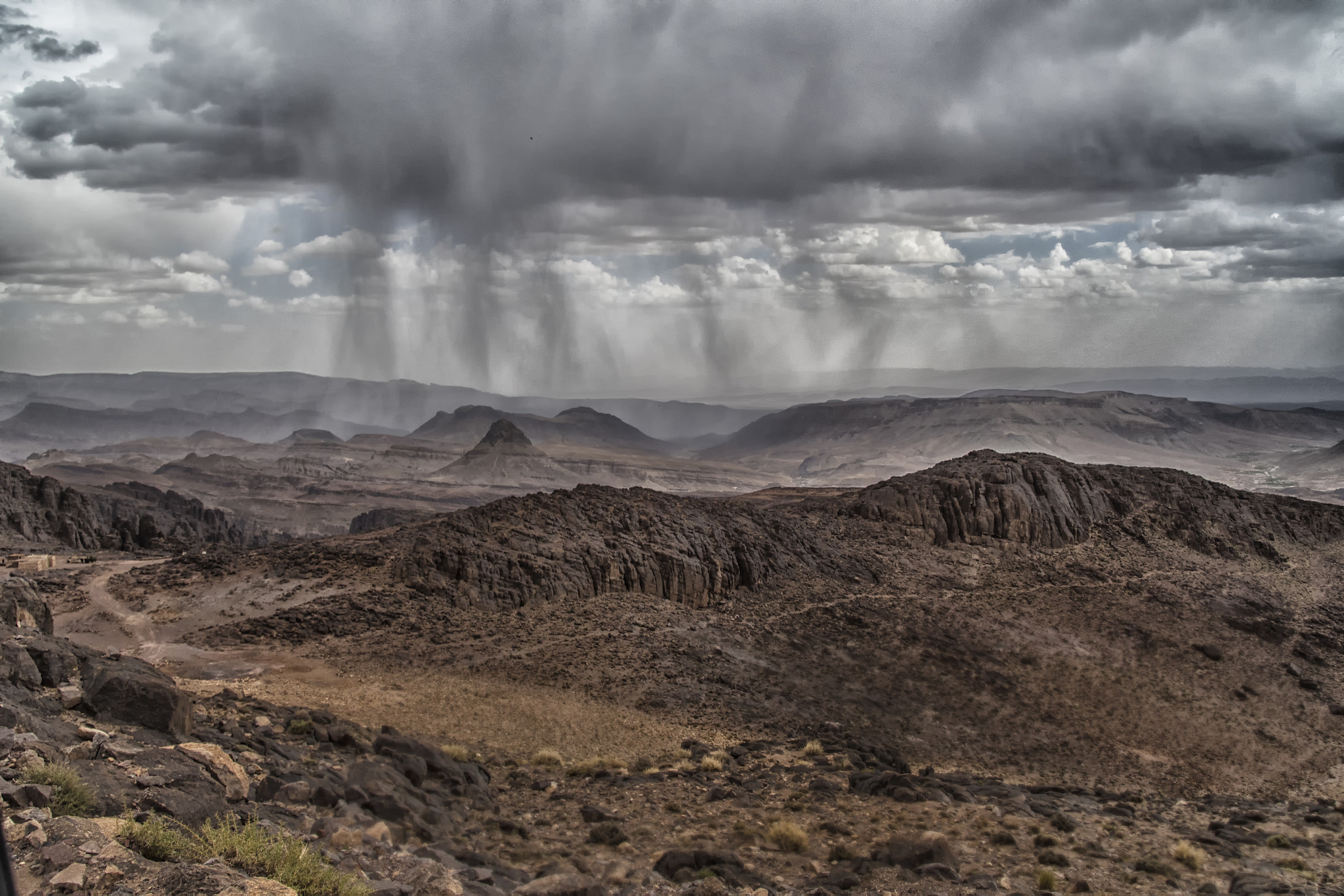 Nikon D500 sample photo. Its raining at atlas photography