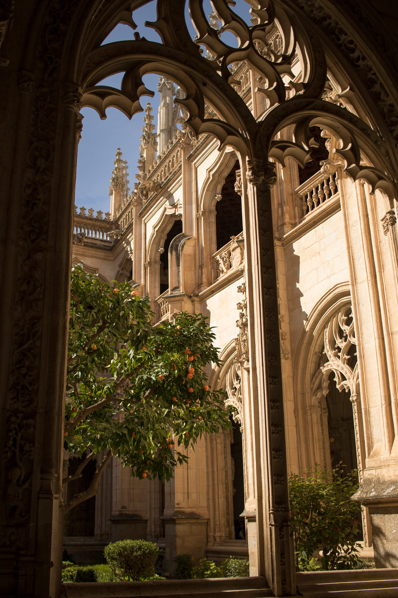 Canon EF-S 24mm F2.8 STM sample photo. Toledo photography