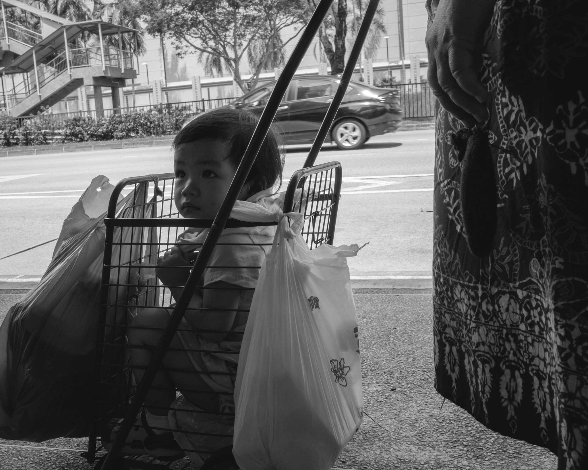 Fujifilm X-T1 + Fujifilm XF 23mm F2 R WR sample photo. Girl in a basket photography