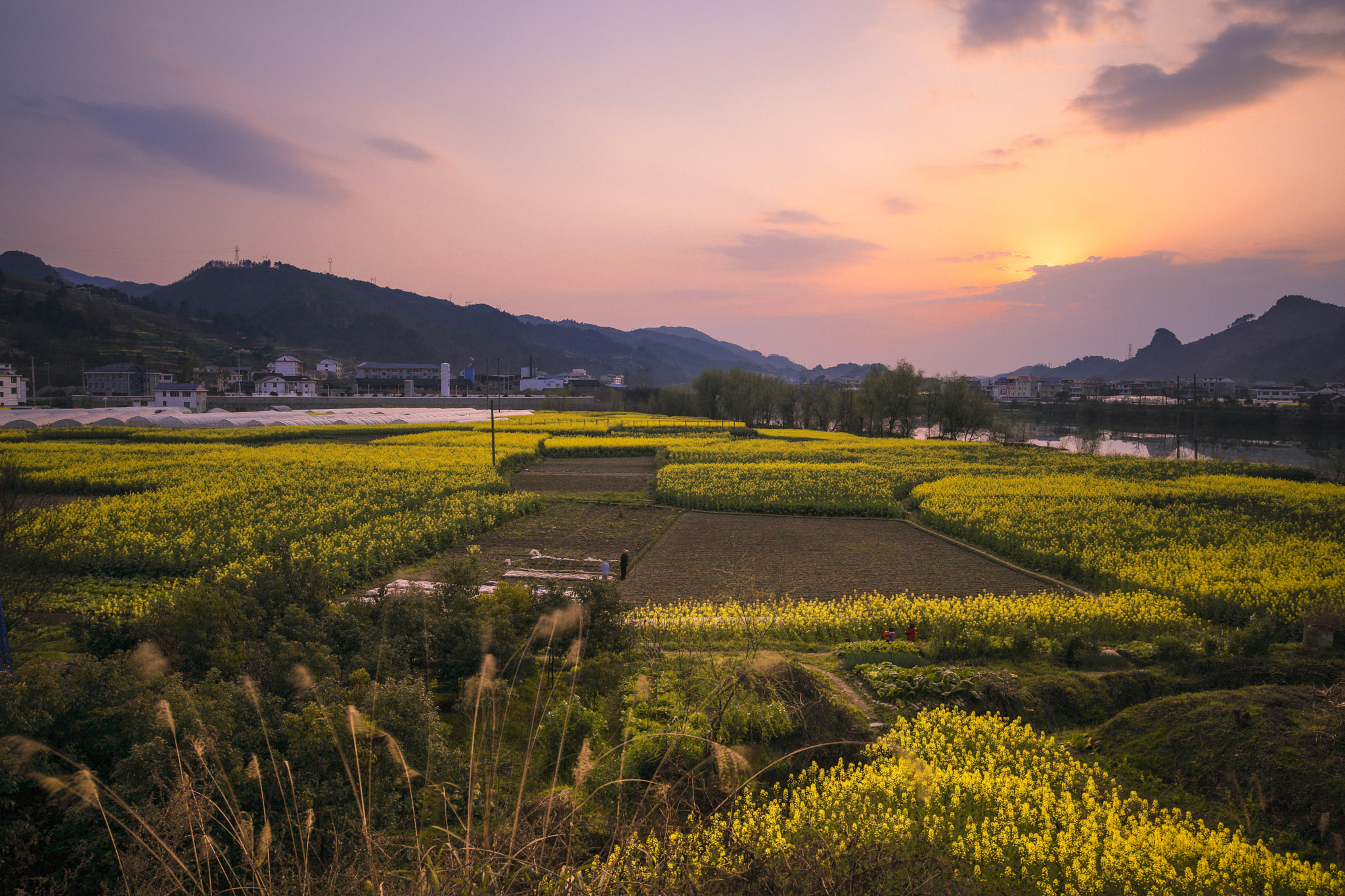 Sigma 24mm F1.4 DG HSM Art sample photo. Rape of the evening photography