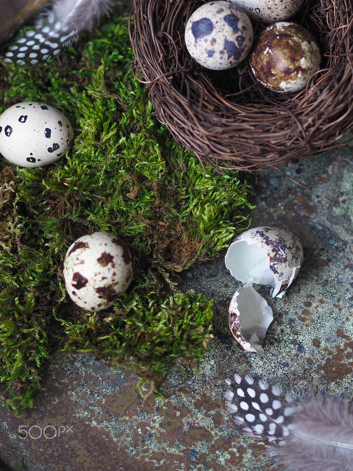 Olympus OM-D E-M10 + Olympus M.Zuiko Digital 45mm F1.8 sample photo. Easter decor quail eggs on moss, nest with eggs an photography