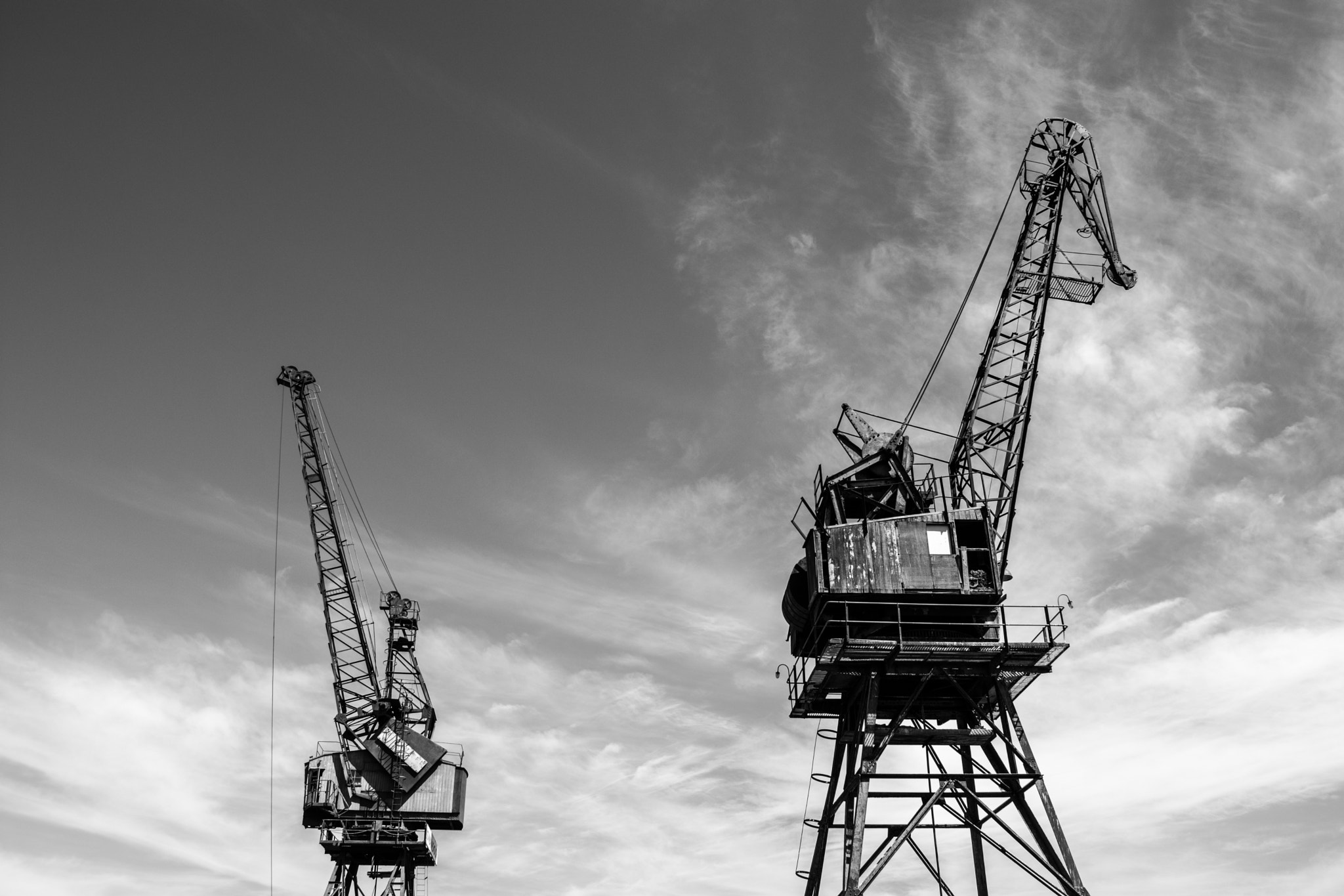 Nikon D7200 sample photo. Cranes of freo photography