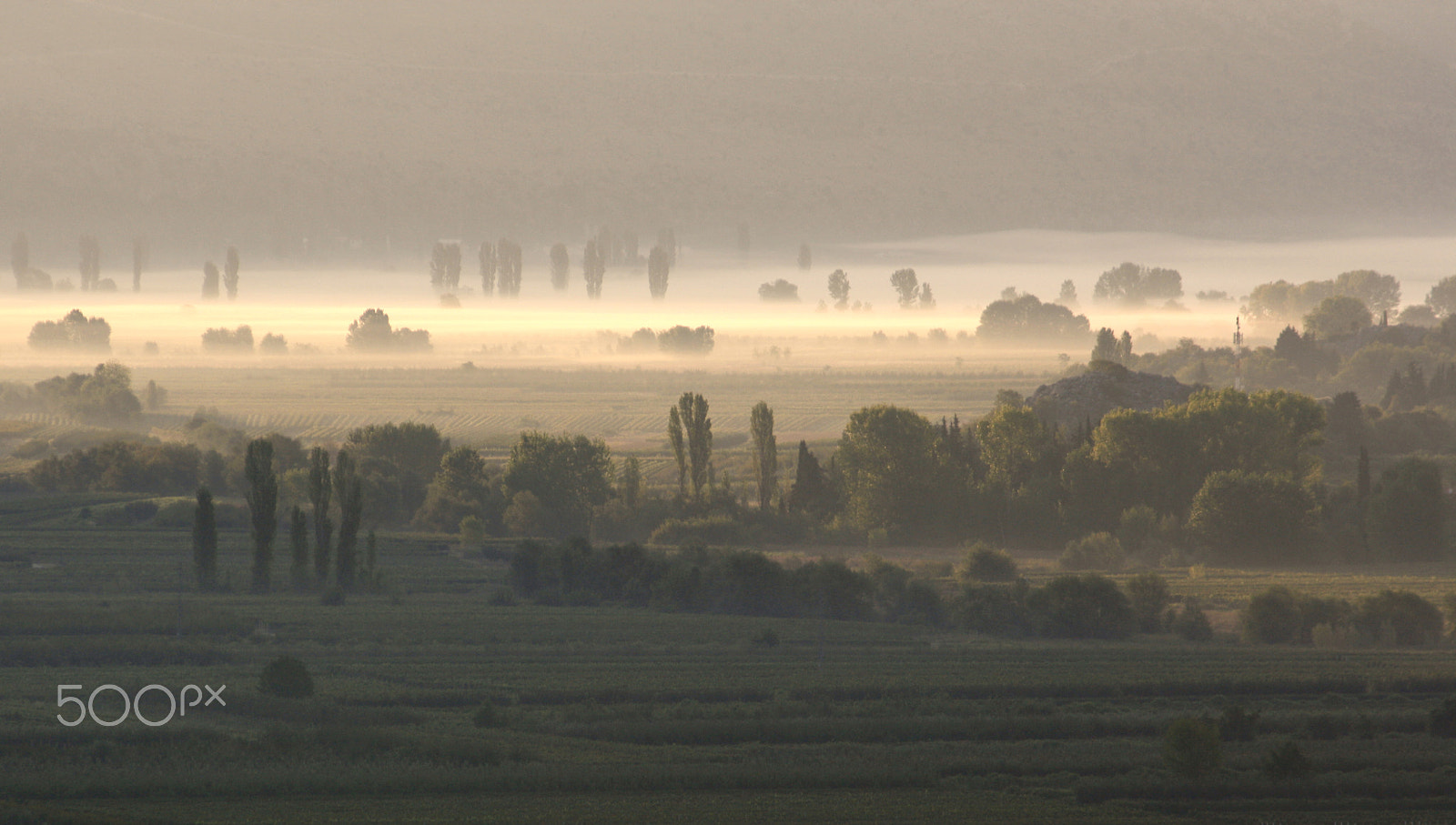 Canon EF 55-200mm F4.5-5.6 II USM sample photo. Morning fog photography