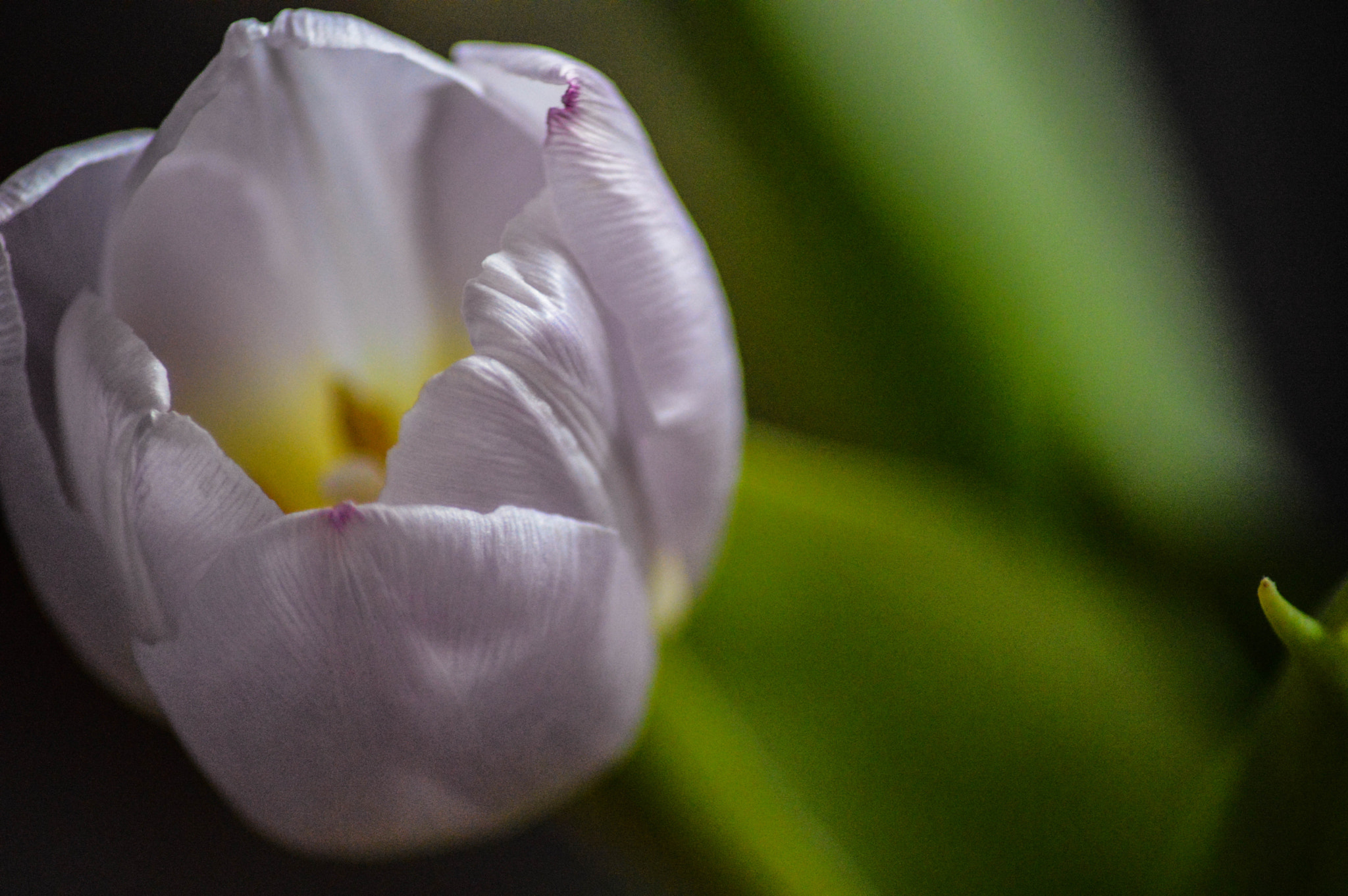 Nikon D3200 sample photo. Dsc_0879-11.jpg photography