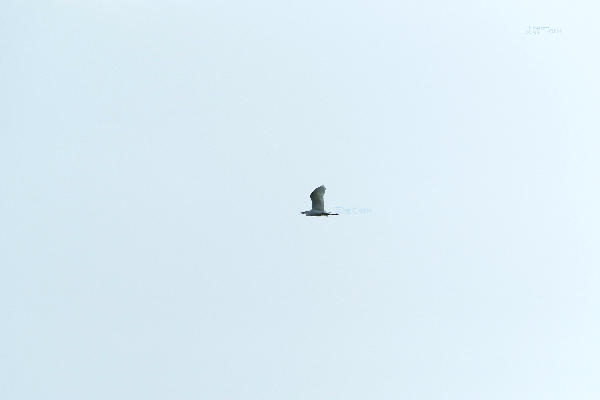 smc Pentax-DA L 50-200mm F4-5.6 ED WR sample photo. 略湖归巢slightly lake homing photography
