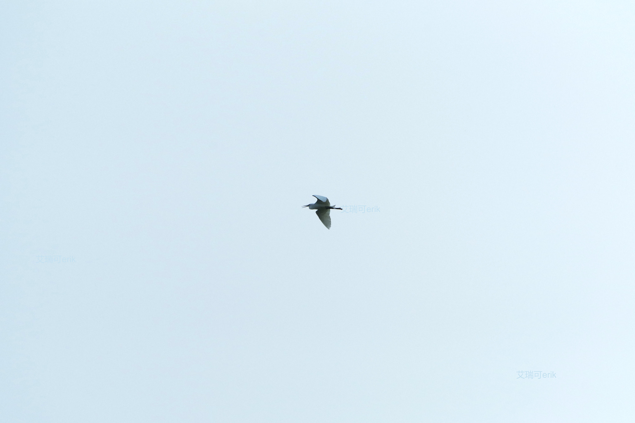 smc Pentax-DA L 50-200mm F4-5.6 ED WR sample photo. 略湖归巢slightly lake homing photography