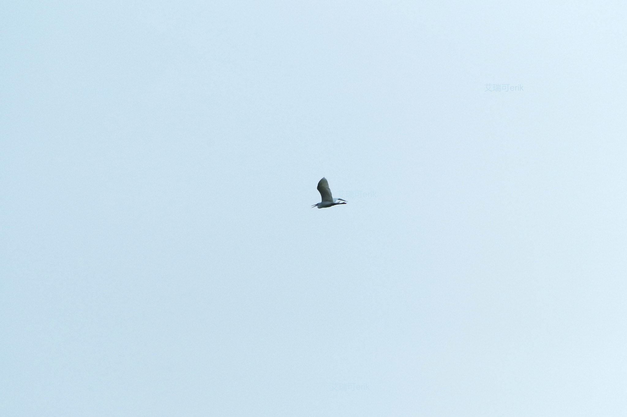 smc Pentax-DA L 50-200mm F4-5.6 ED WR sample photo. 略湖归巢slightly lake homing photography