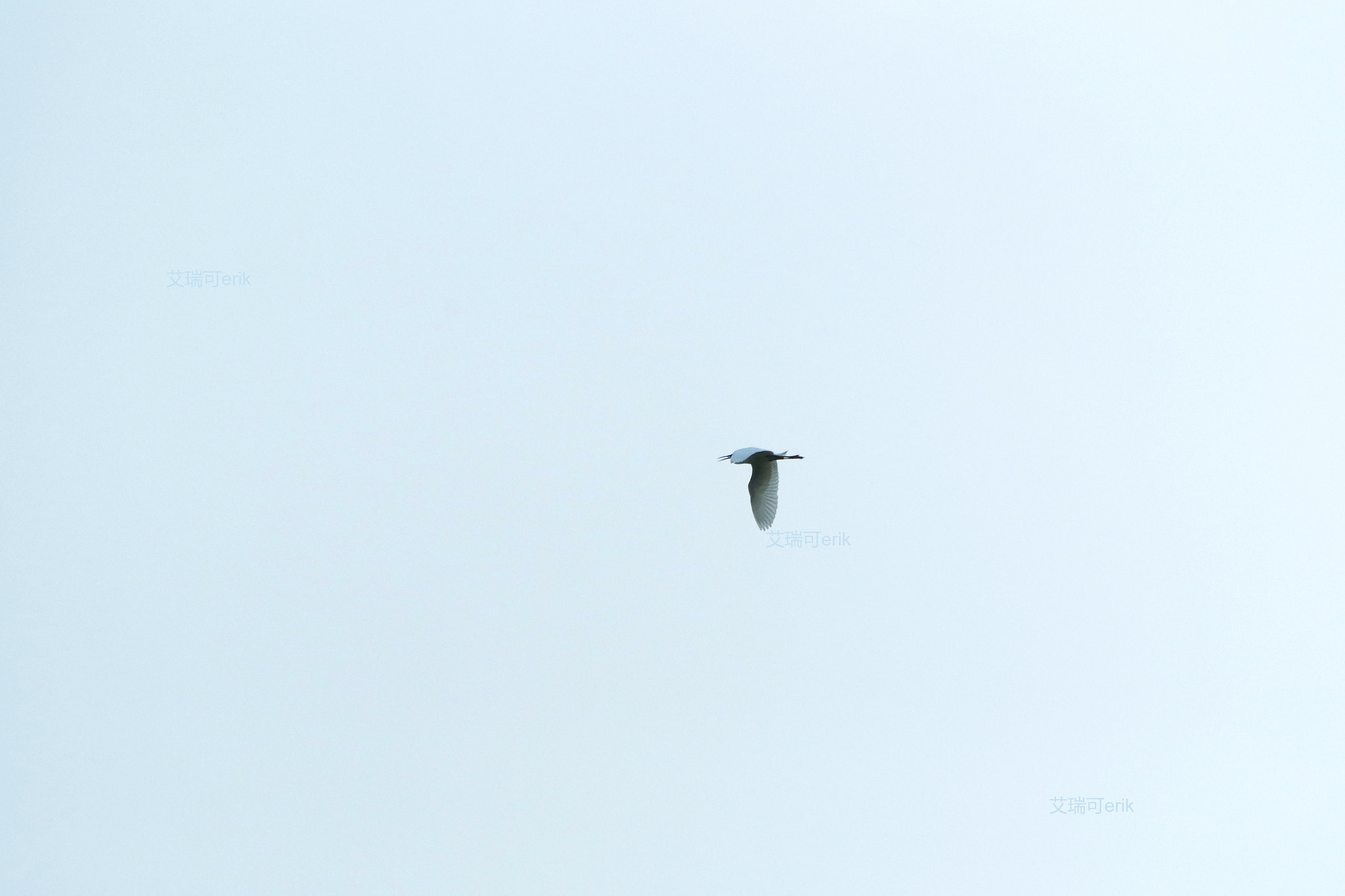 smc Pentax-DA L 50-200mm F4-5.6 ED WR sample photo. 略湖归巢slightly lake homing photography