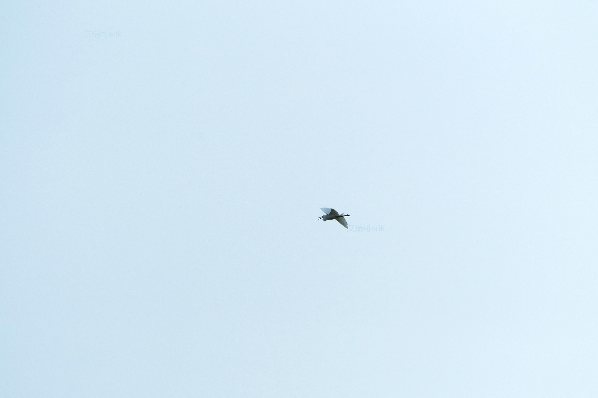 smc Pentax-DA L 50-200mm F4-5.6 ED WR sample photo. 略湖归巢slightly lake homing photography