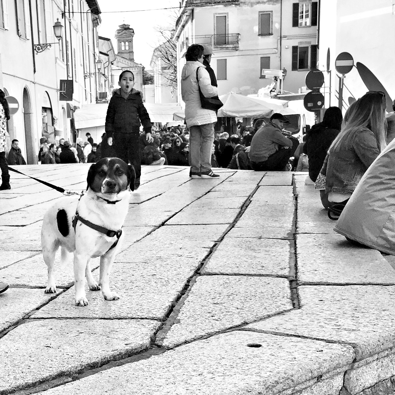 Hipstamatic 333 sample photo. Dog and child photography