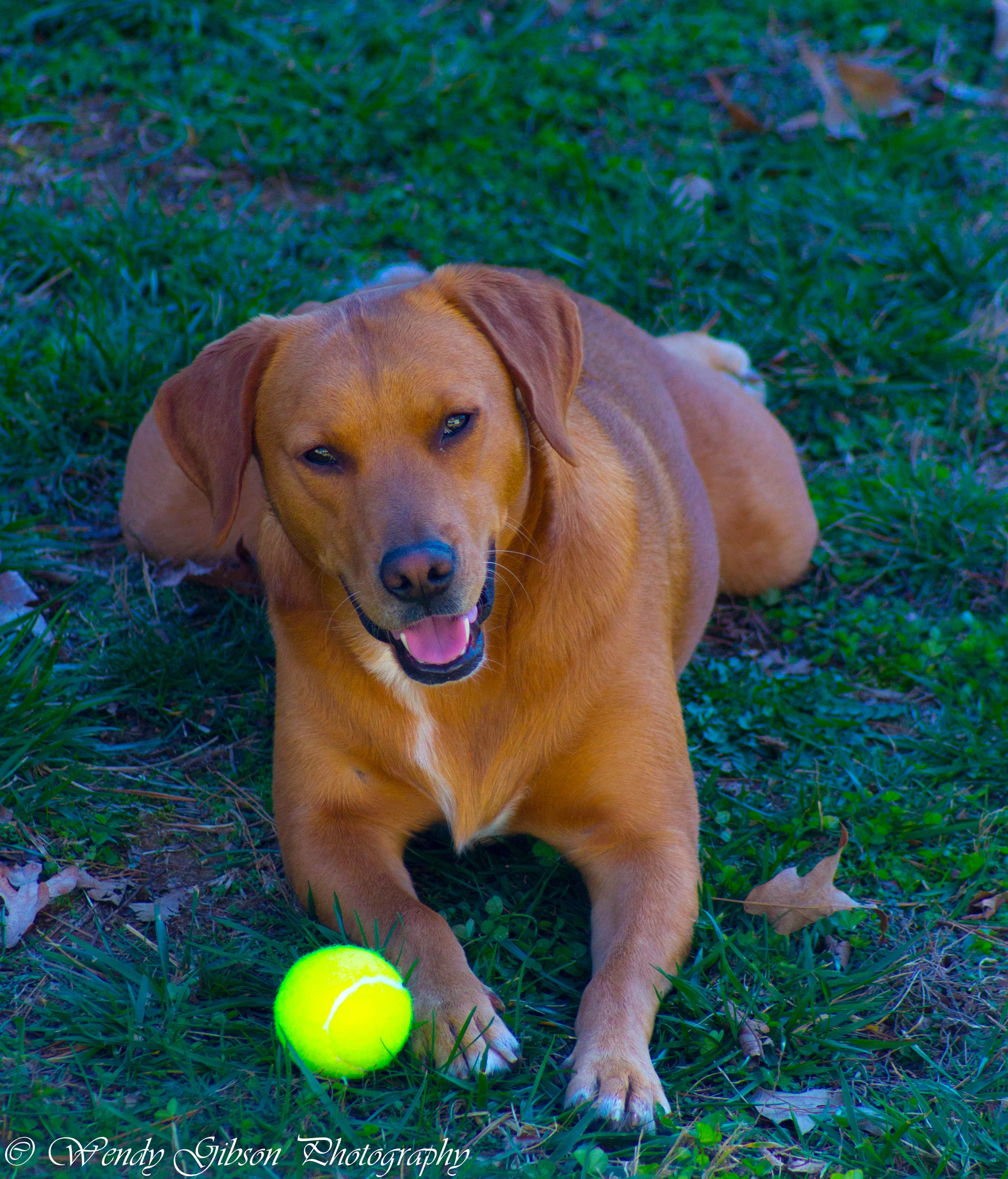 Sony 75-300mm F4.5-5.6 sample photo