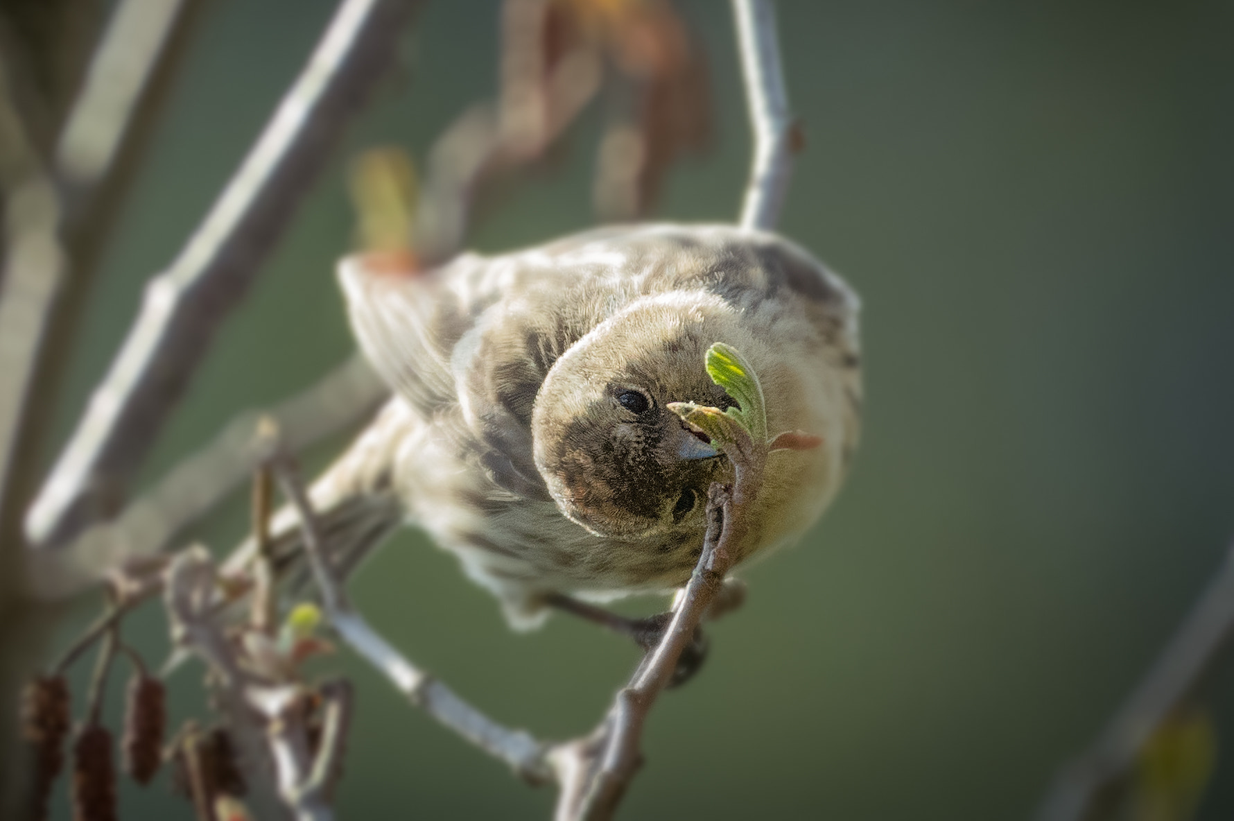 Pentax K-3 sample photo. Twisted photography