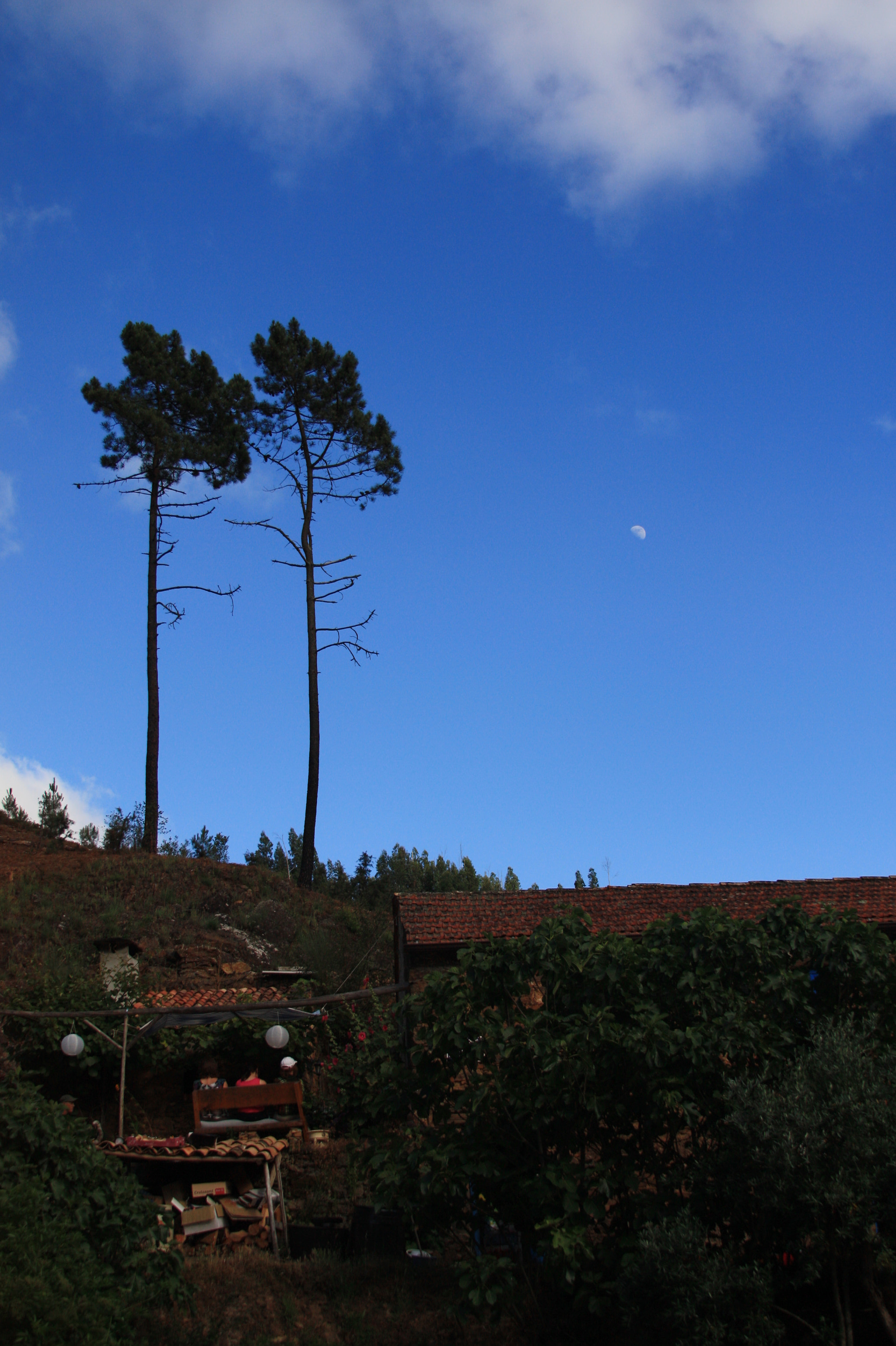 Canon EF 28-135mm F3.5-5.6 IS USM sample photo. Portugal photography