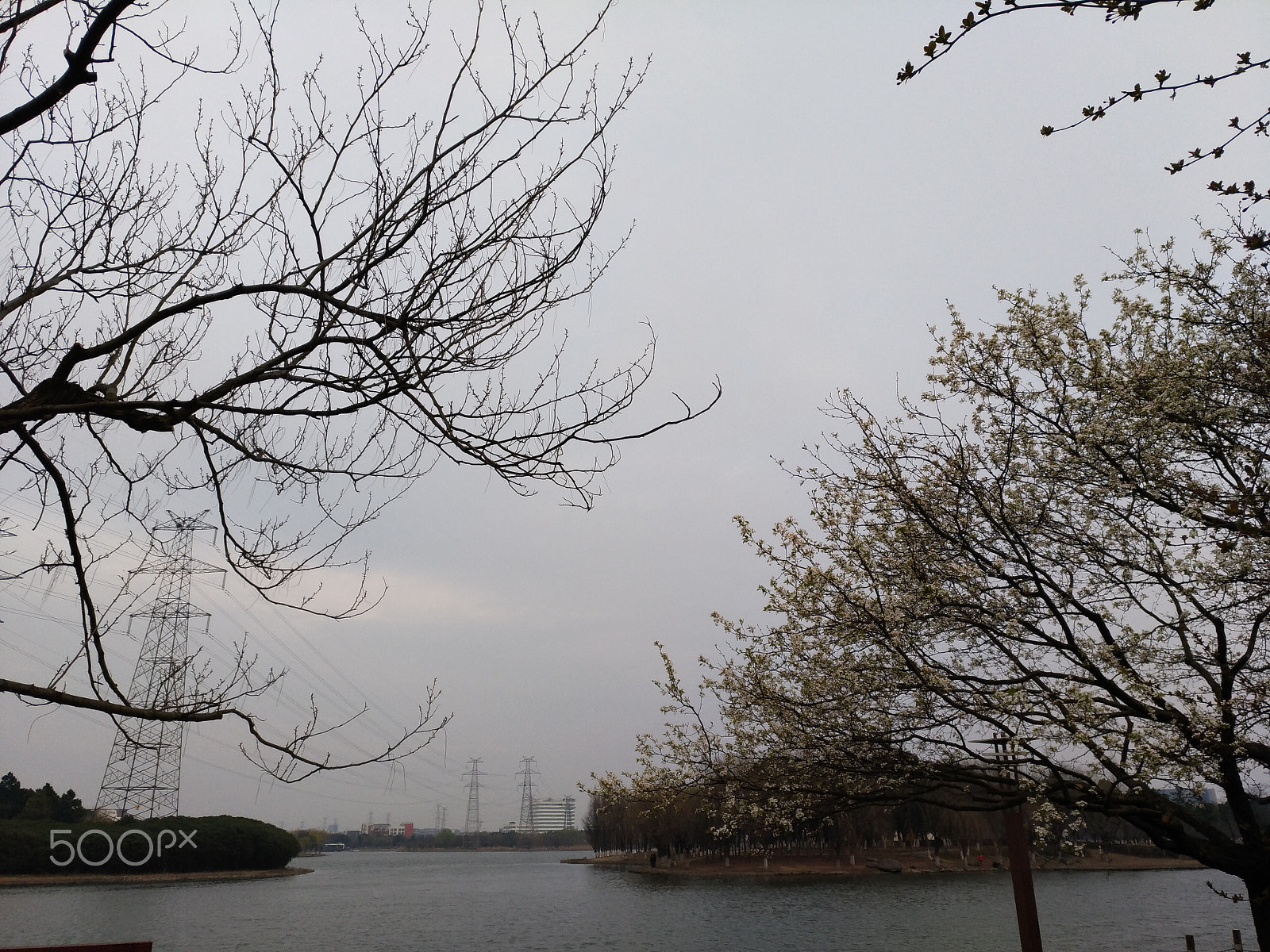 ASUS ZenFone 3 (ZE552KL) sample photo. Near a lake in a park photography