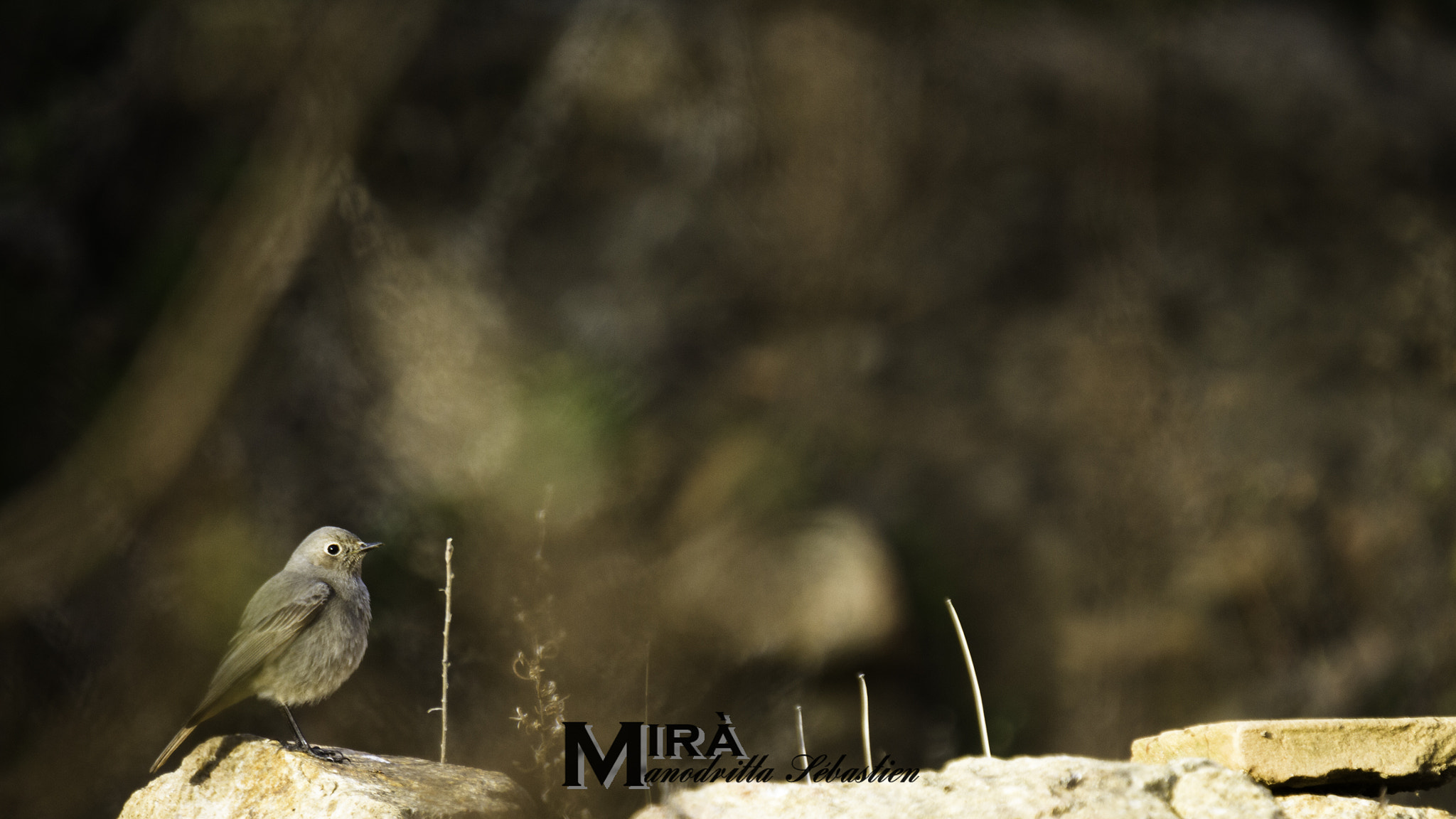 Sigma 50-500mm f/4-6.3 APO HSM EX sample photo. Portfolio photography