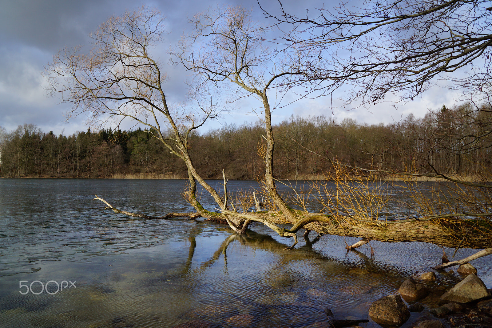 Sony DT 18-200mm F3.5-6.3 sample photo. Germany, dreetzsee ii photography
