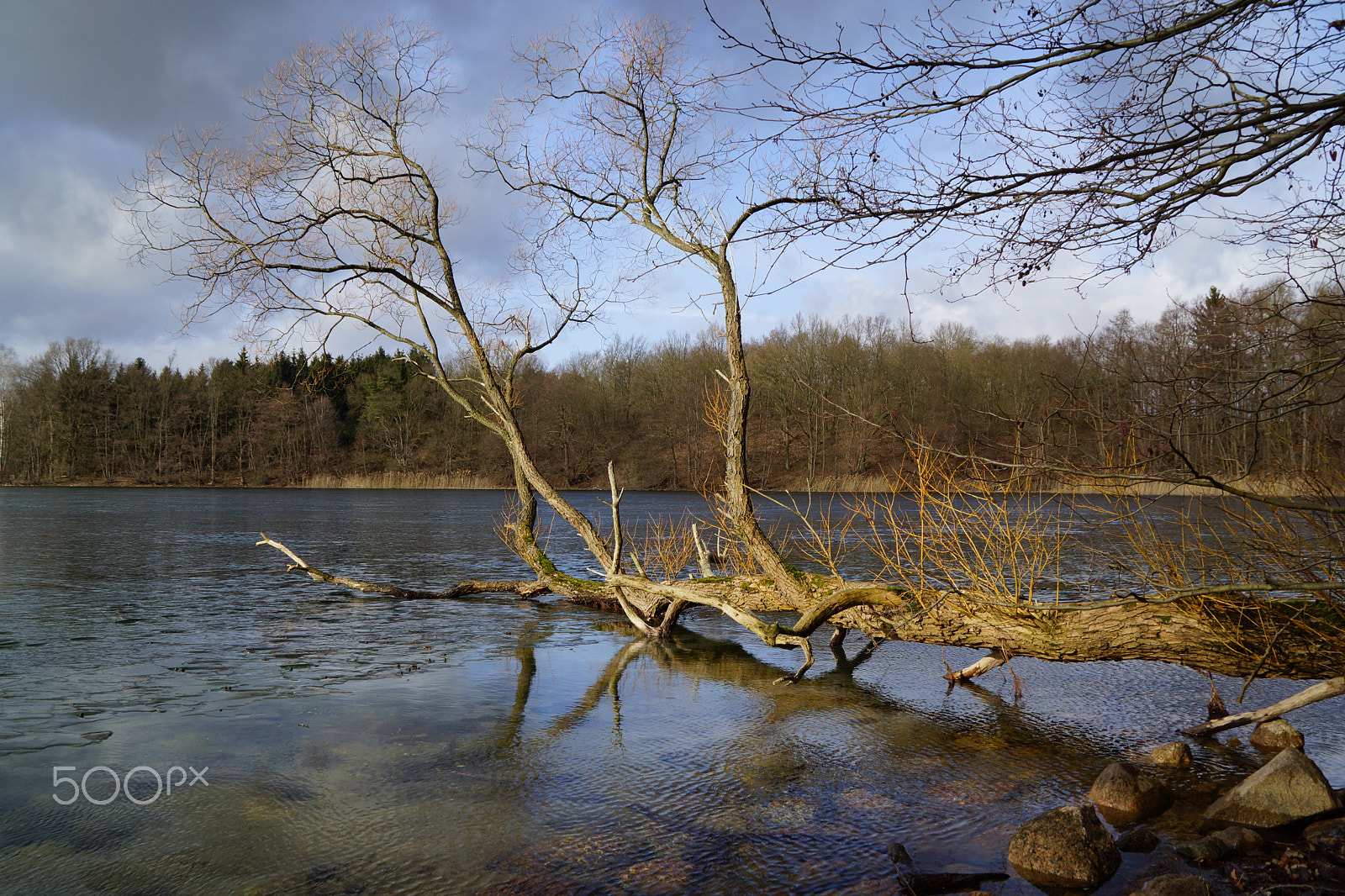 Sony SLT-A65 (SLT-A65V) sample photo. Germany, dreetzsee ii photography