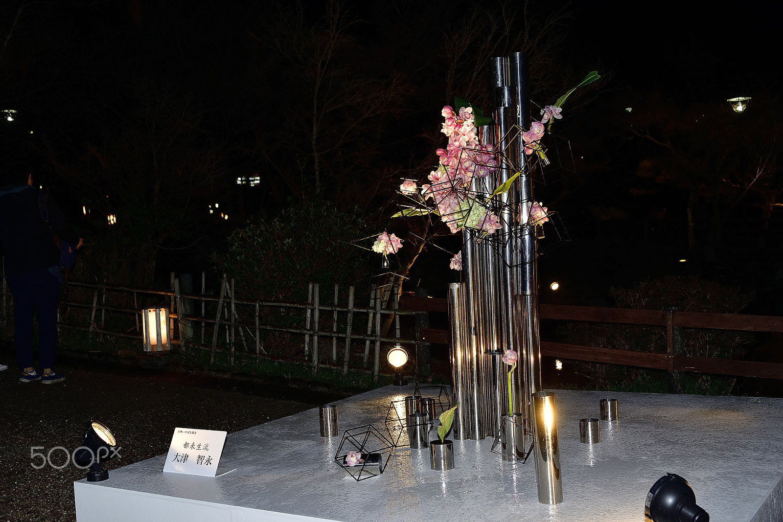 Nikon D800E sample photo. Flower arrangement～京都花灯路～ photography