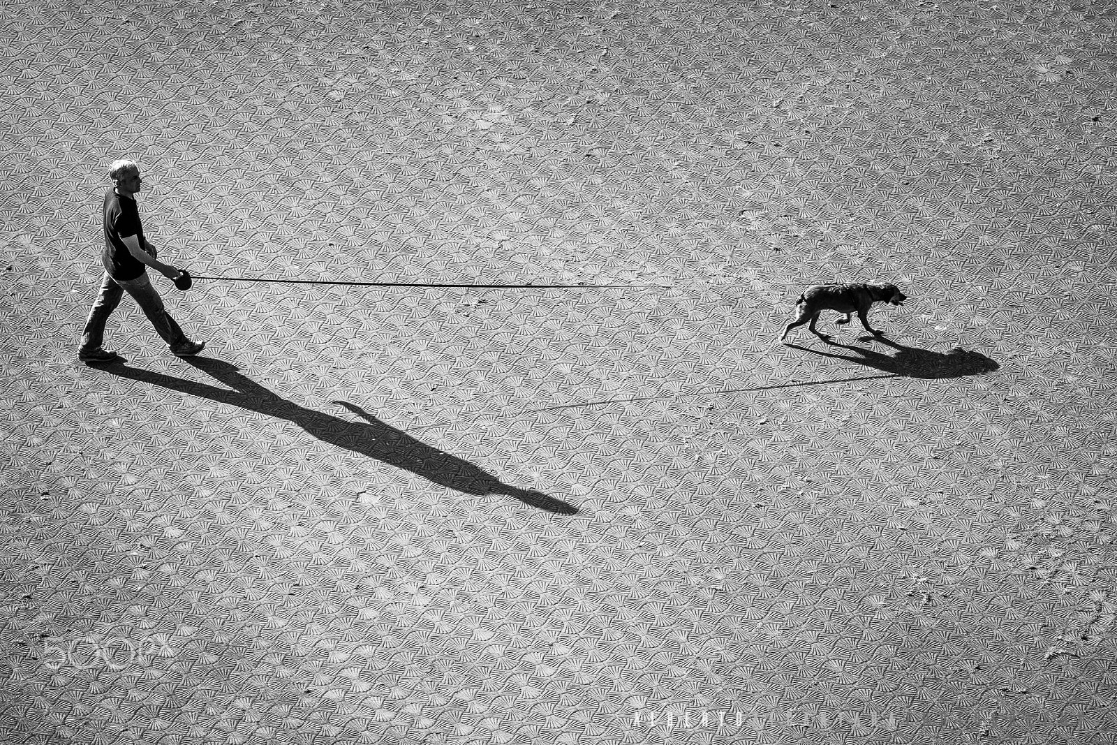 Canon EOS 7D + Canon EF 70-200mm F4L IS USM sample photo. Caminando ... photography
