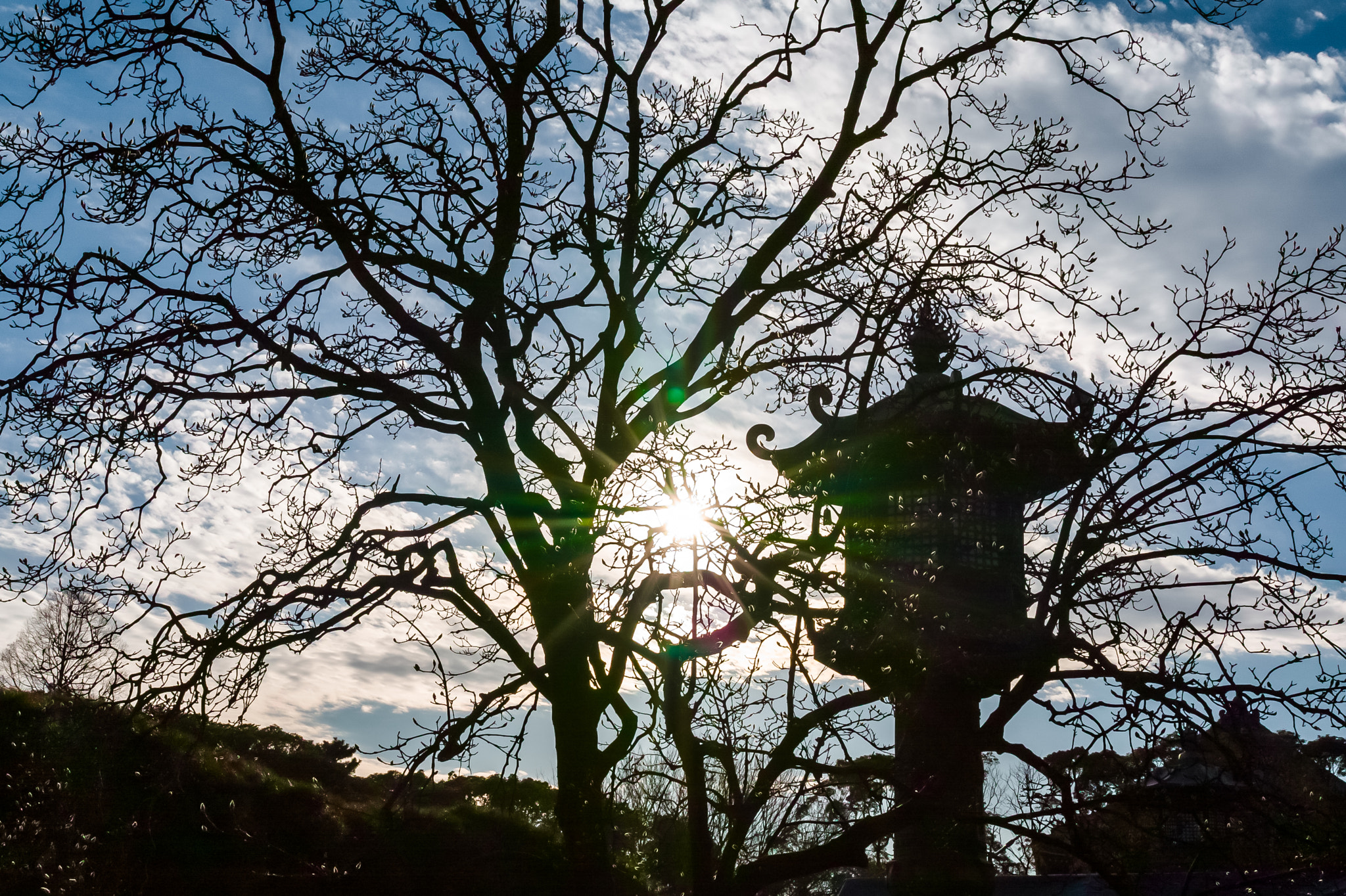Sigma 35mm F1.4 DG HSM Art sample photo. One sunny day photography