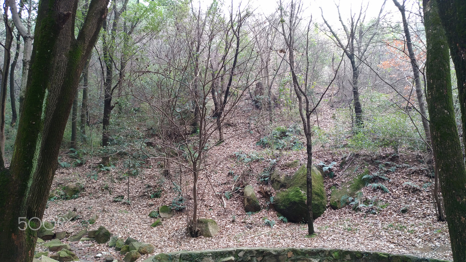 ASUS ZenFone 3 (ZE552KL) sample photo. In a hill photography
