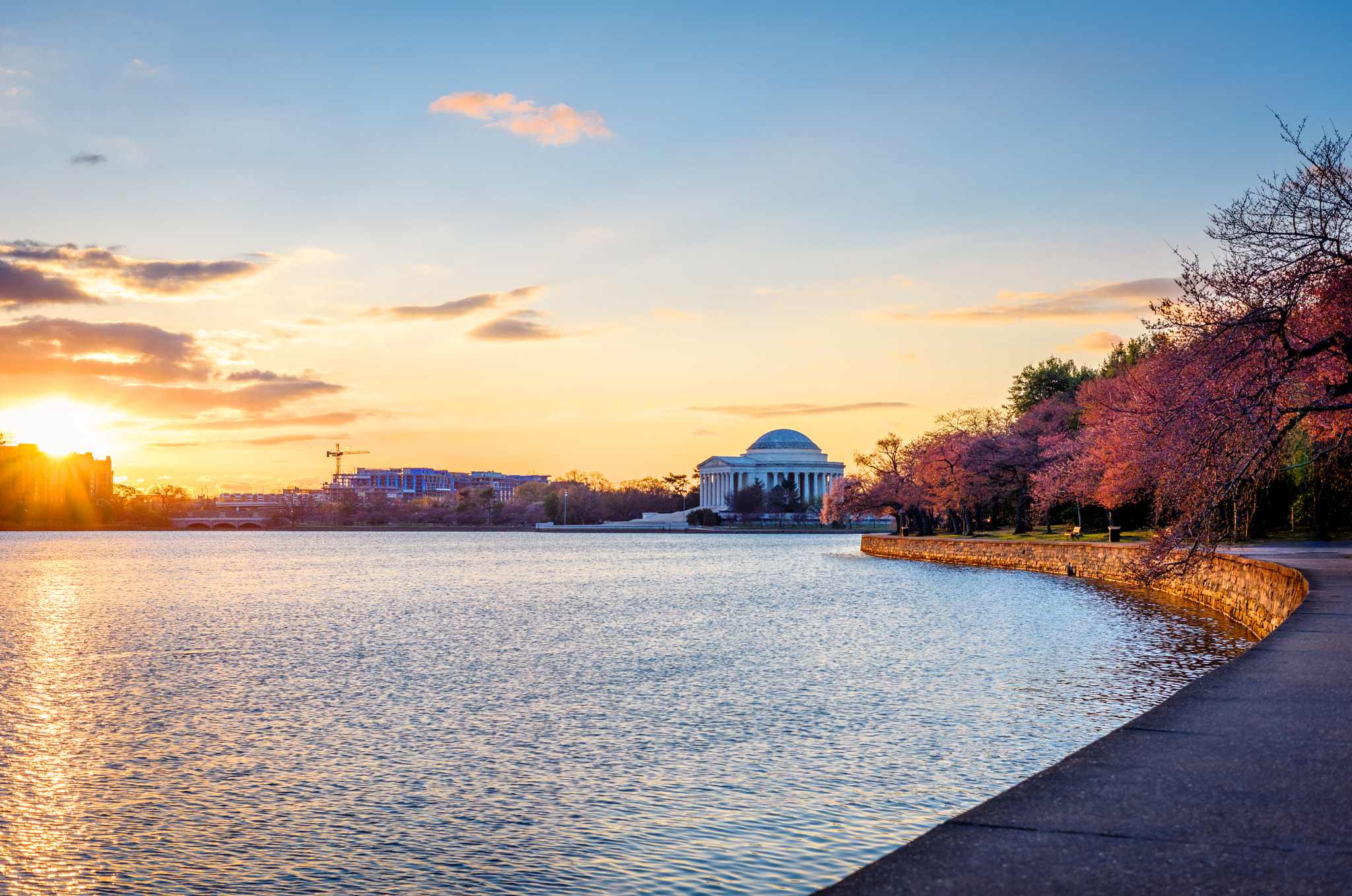 Nikon D810 sample photo. Cherry blossom sunrise photography