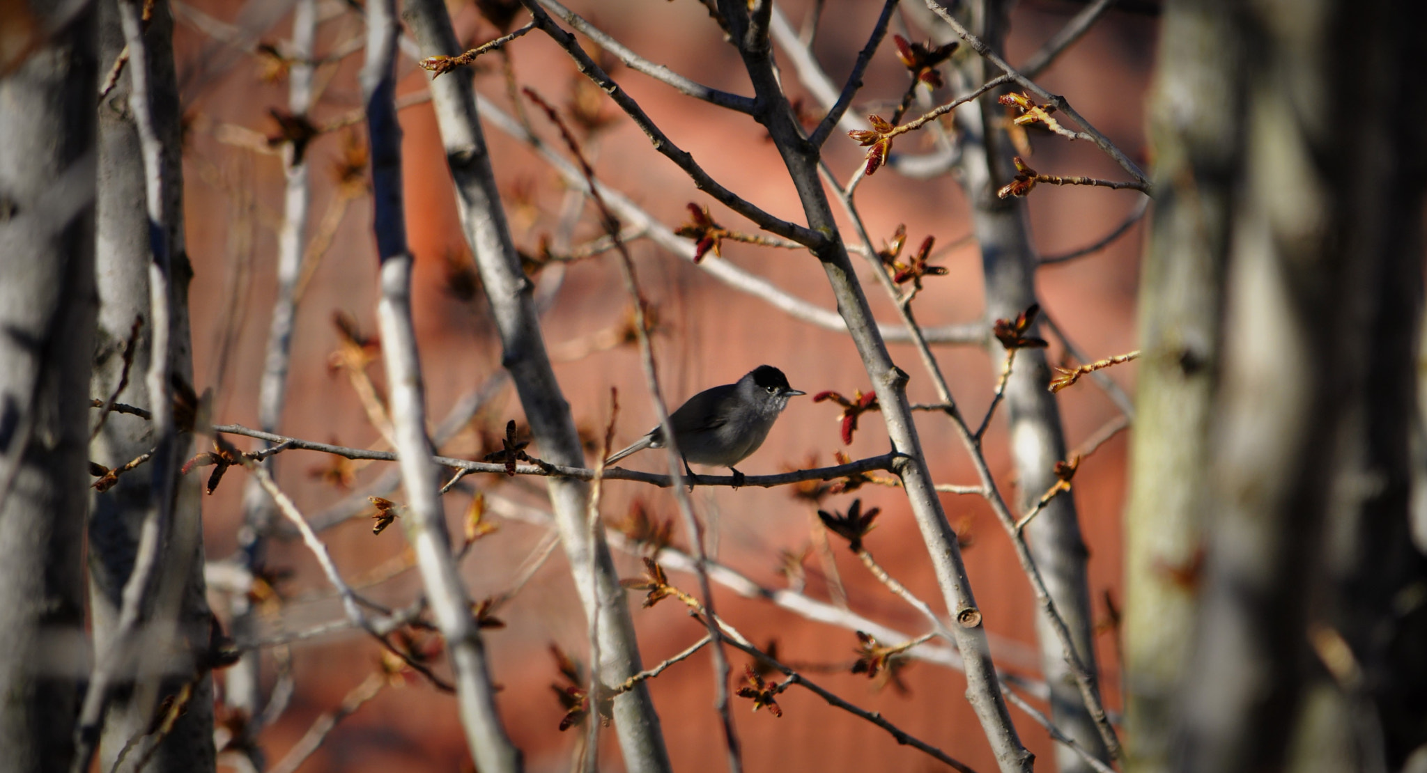Nikon D5000 sample photo