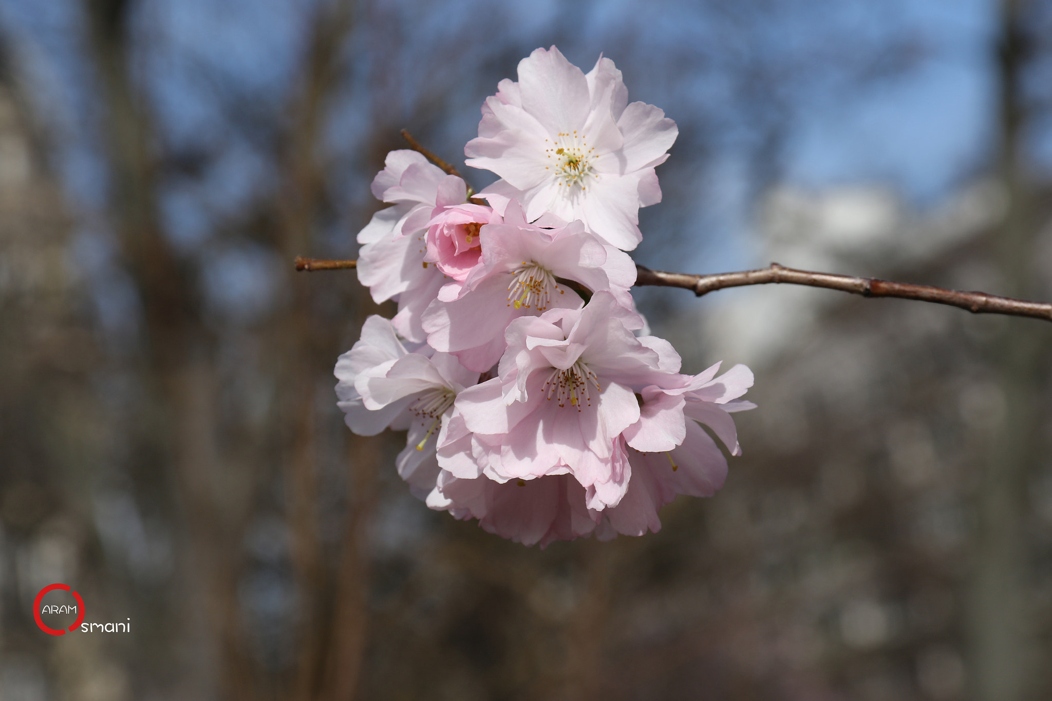 Canon EF-S 18-200mm F3.5-5.6 IS sample photo. Ca photography