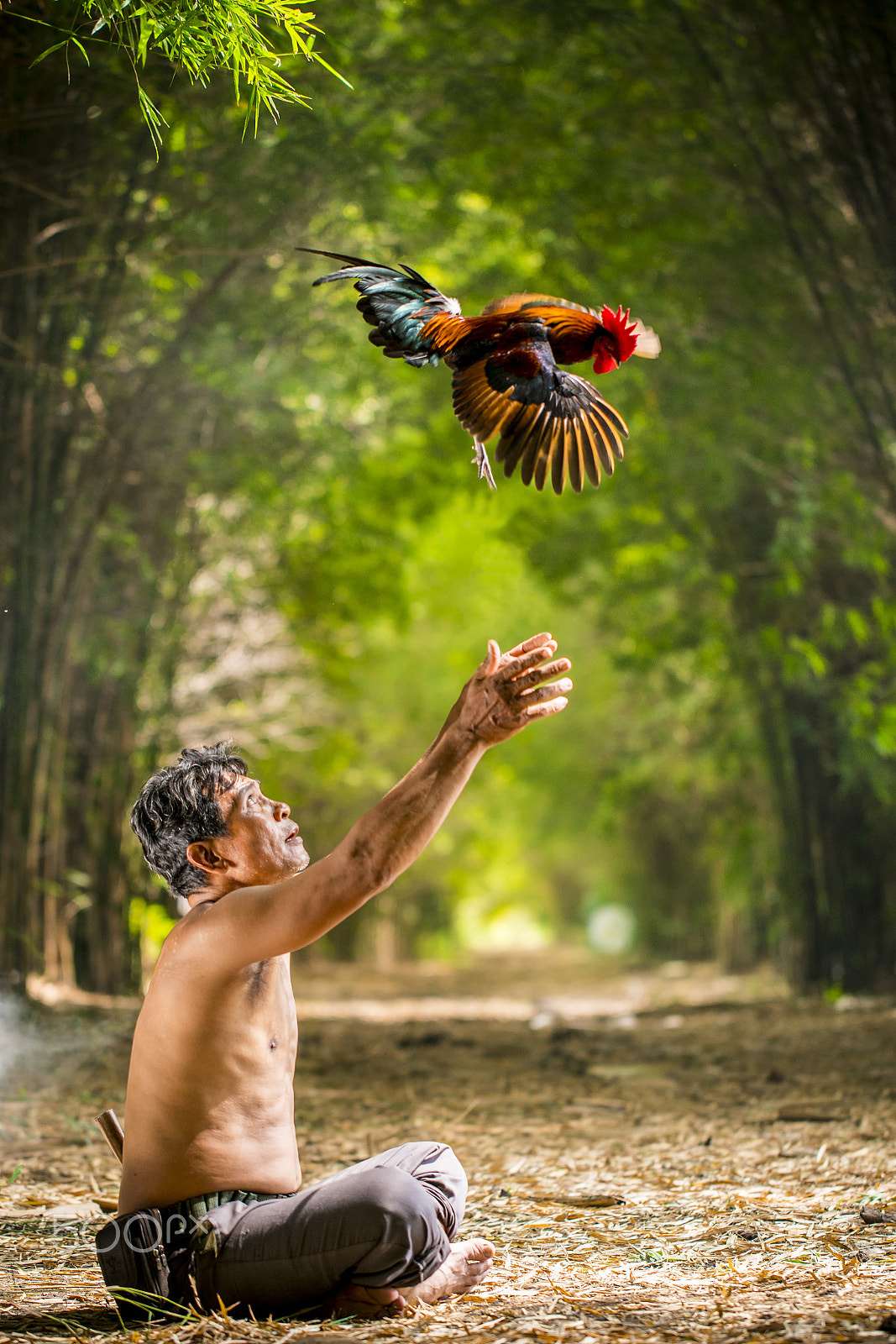 Sony a7R II + Canon EF 100mm F2.8L Macro IS USM sample photo. Farmer and his rooster photography