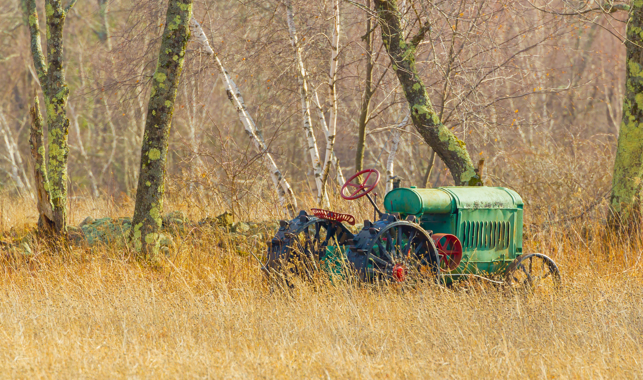 Canon EOS 550D (EOS Rebel T2i / EOS Kiss X4) sample photo. Old green tractor photography