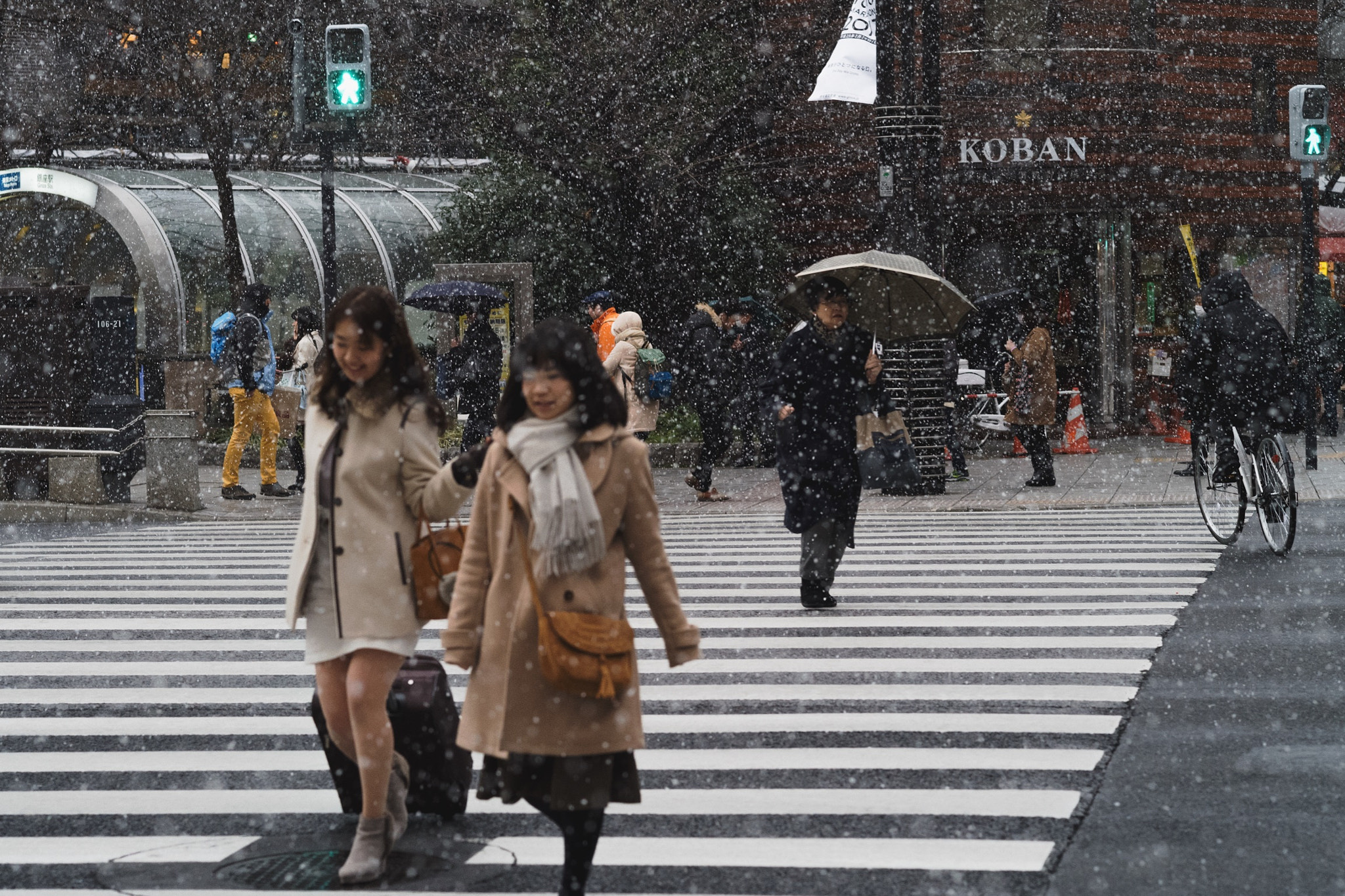 Leica APO-Summicron-M 90mm F2 ASPH sample photo. Let it snow photography