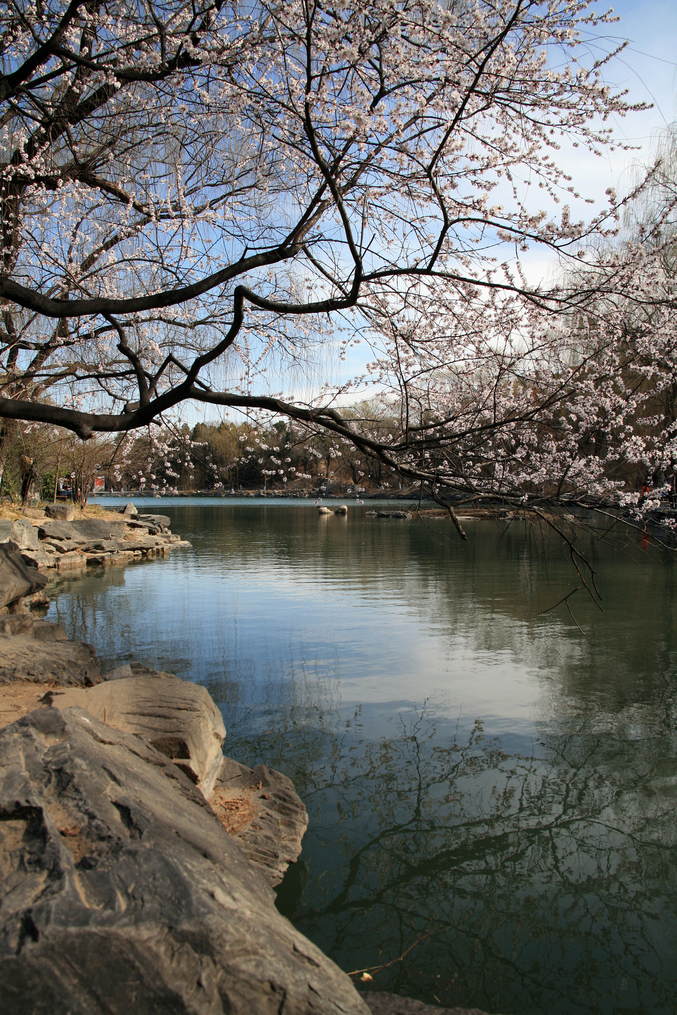 Canon EOS 5D + Canon EF 28-135mm F3.5-5.6 IS USM sample photo. Peking university photography