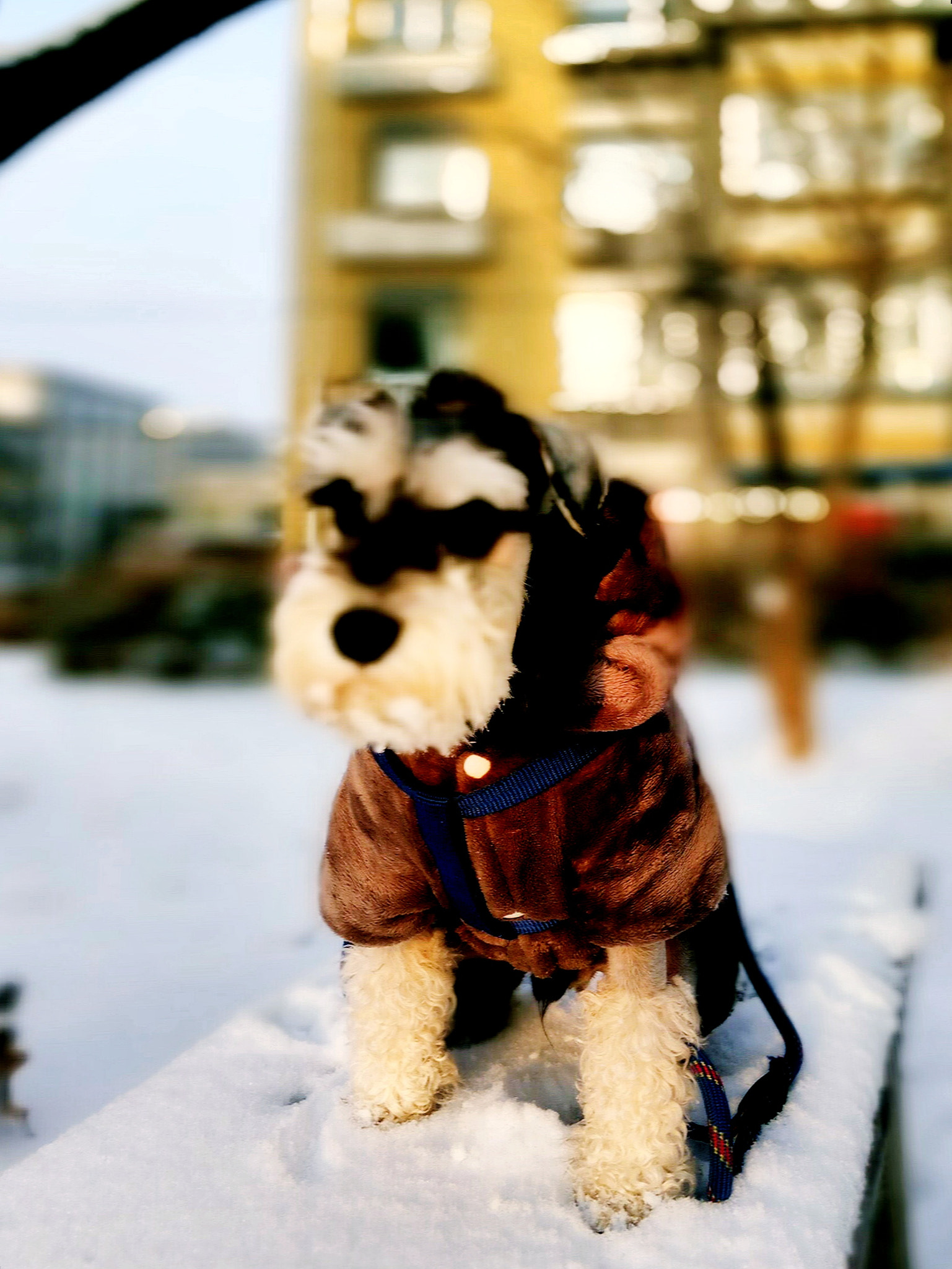 Xiaomi Redmi Pro sample photo. 等日出 photography