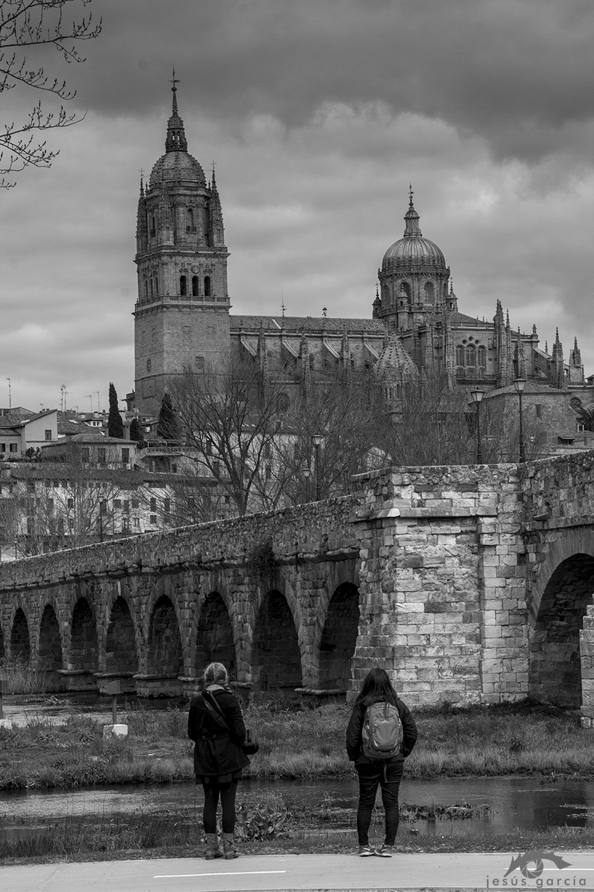 Canon EOS 550D (EOS Rebel T2i / EOS Kiss X4) sample photo. Salamanca photography