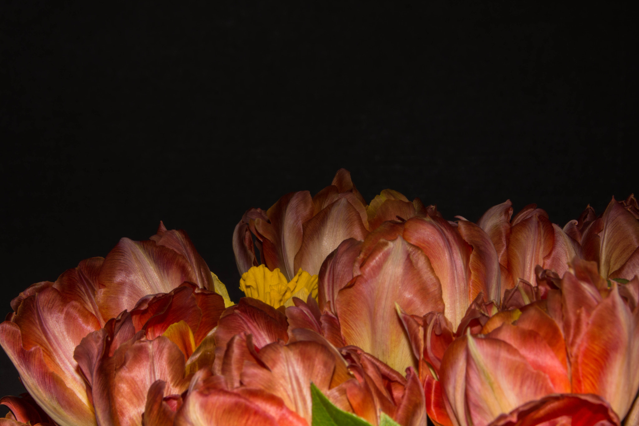 Sigma 28-300mm F3.5-6.3 DG Macro sample photo. Bouquet photography