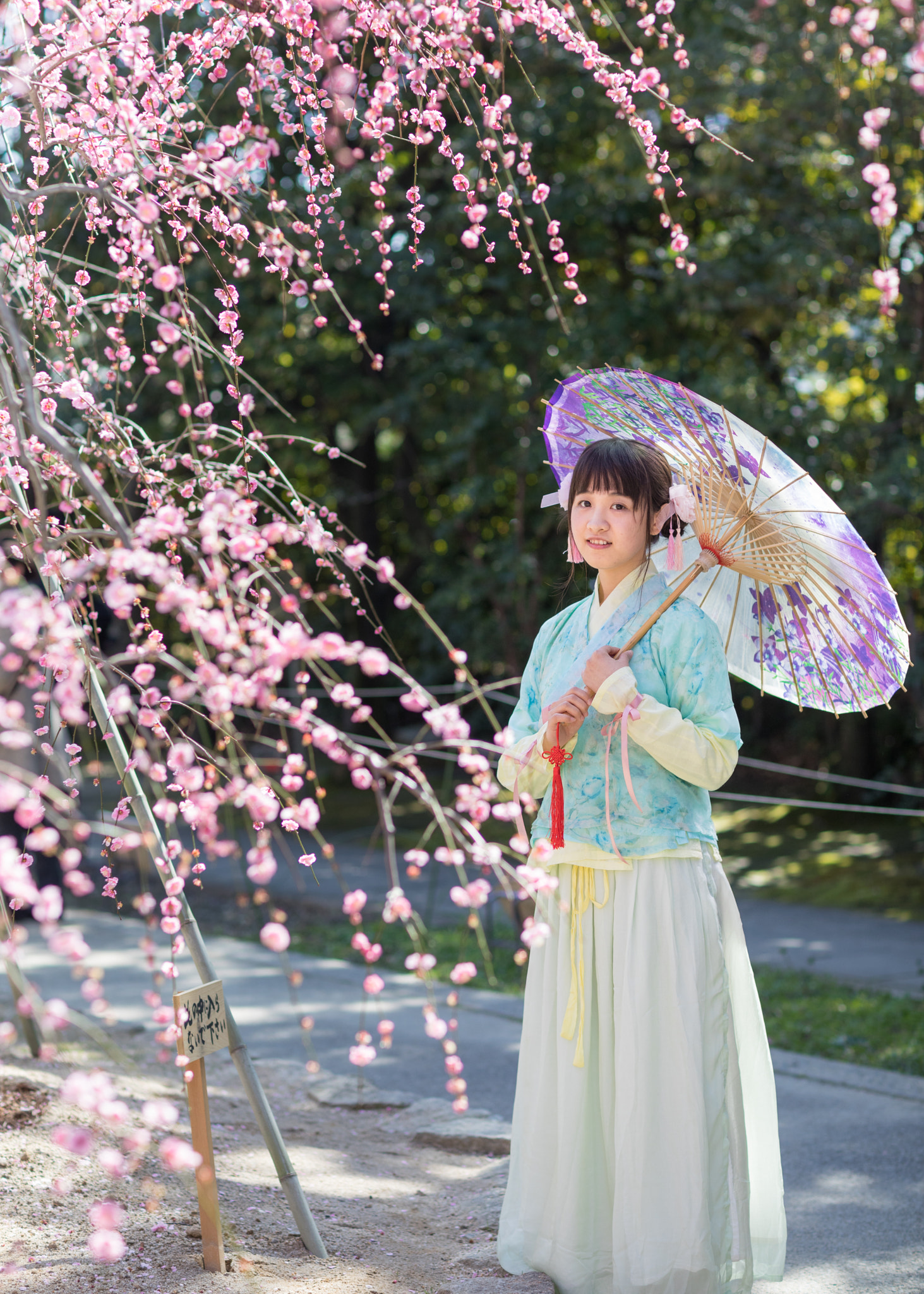 Canon EF 85mm F1.2L II USM sample photo. Plum flower and han clothing girl photography