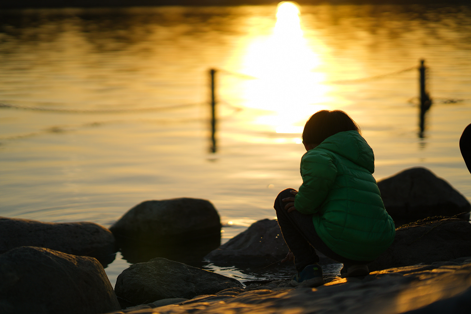Sony FE 85mm F1.4 GM sample photo. Sunset photography