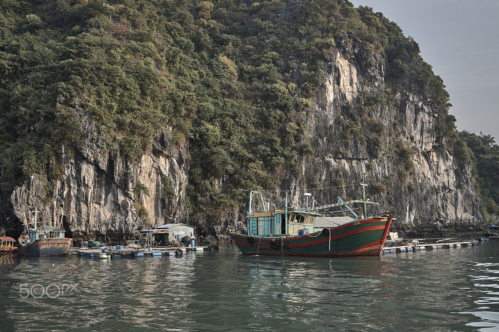 Sony a7 sample photo. Cat ba photography