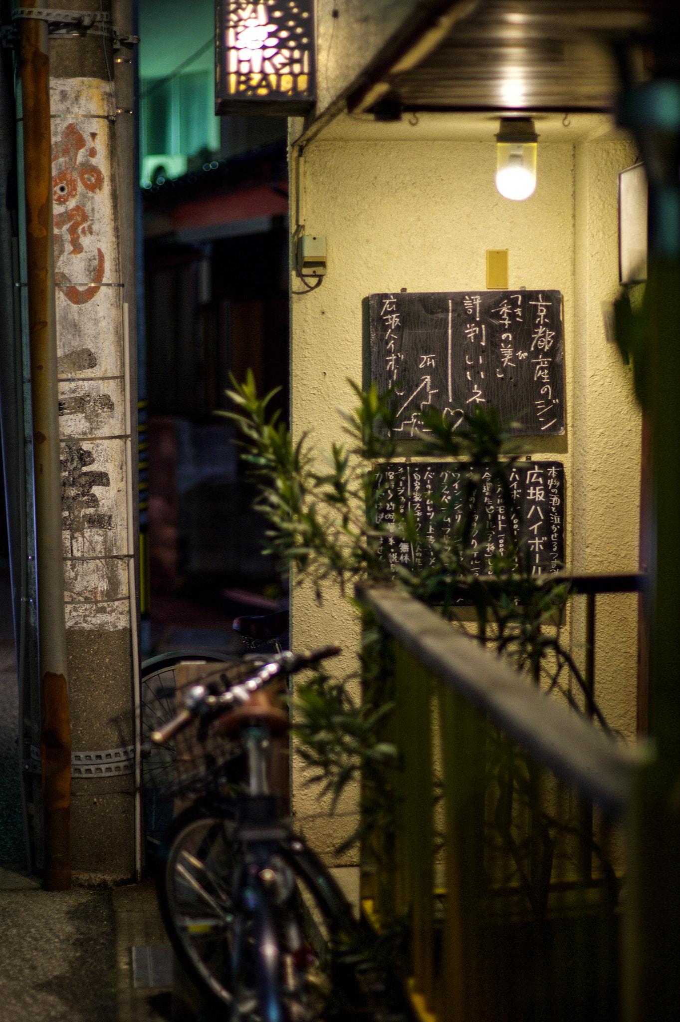 Nikon Df + Manual Lens No CPU sample photo. 柿木畠 from kanazawa japan photography