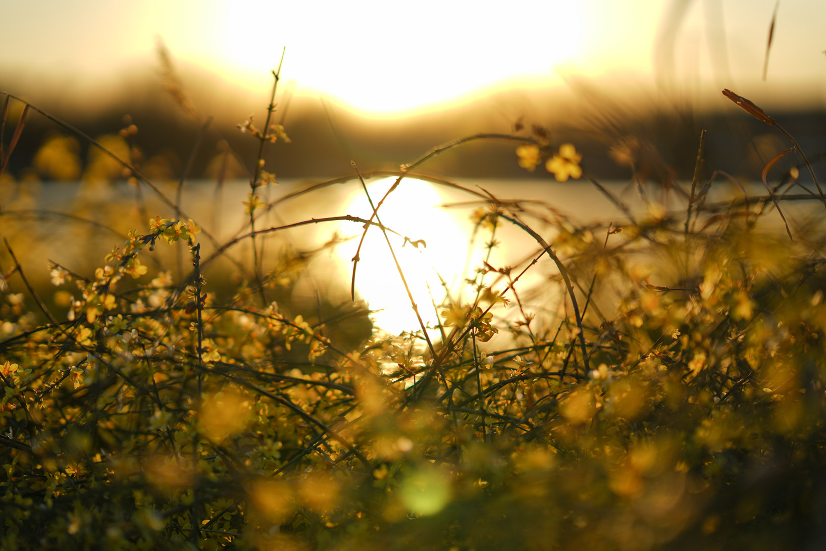 Sony FE 85mm F1.4 GM sample photo. Sunset photography