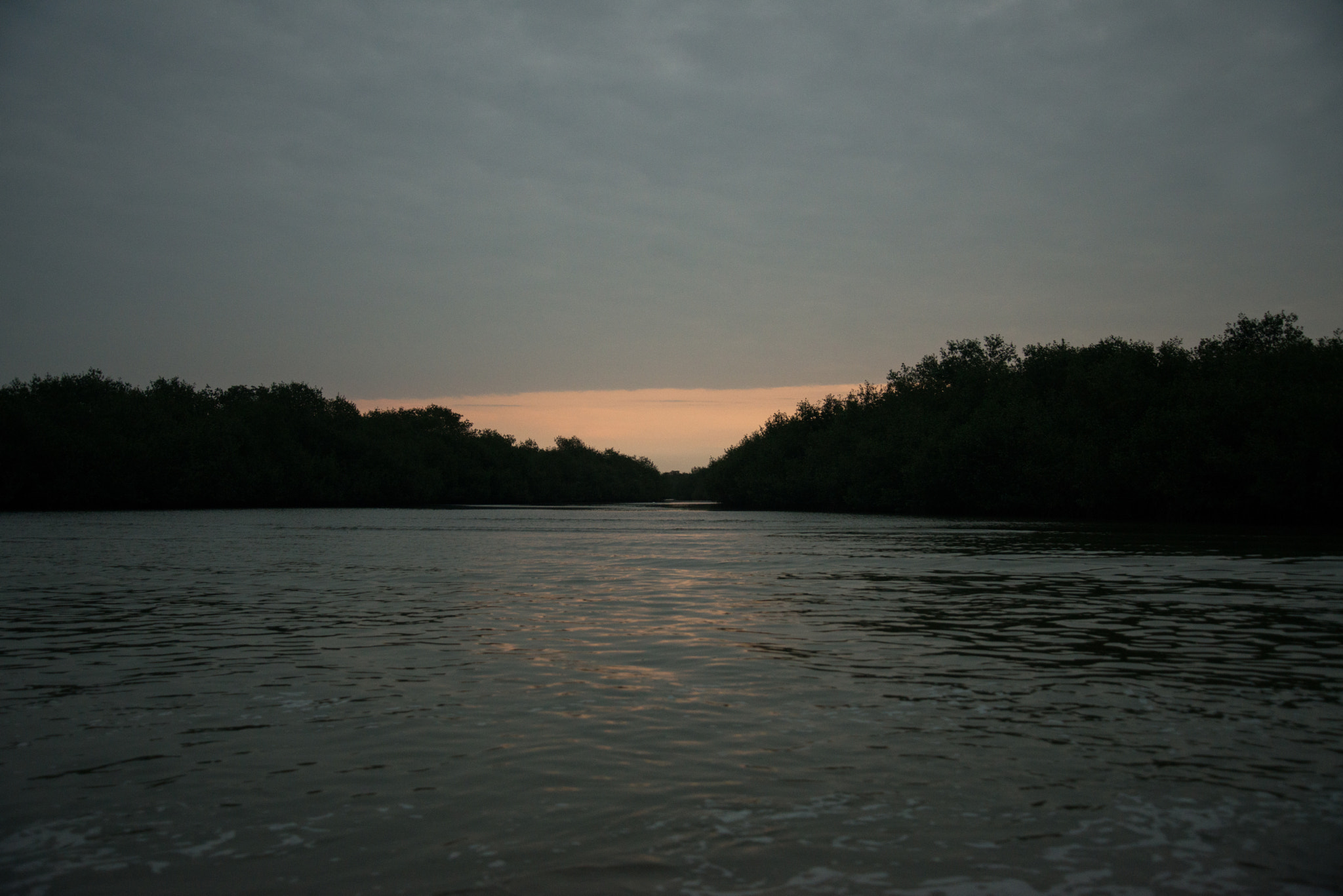 Nikon D800 sample photo. Atardecer en los manglares de tumbes. photography