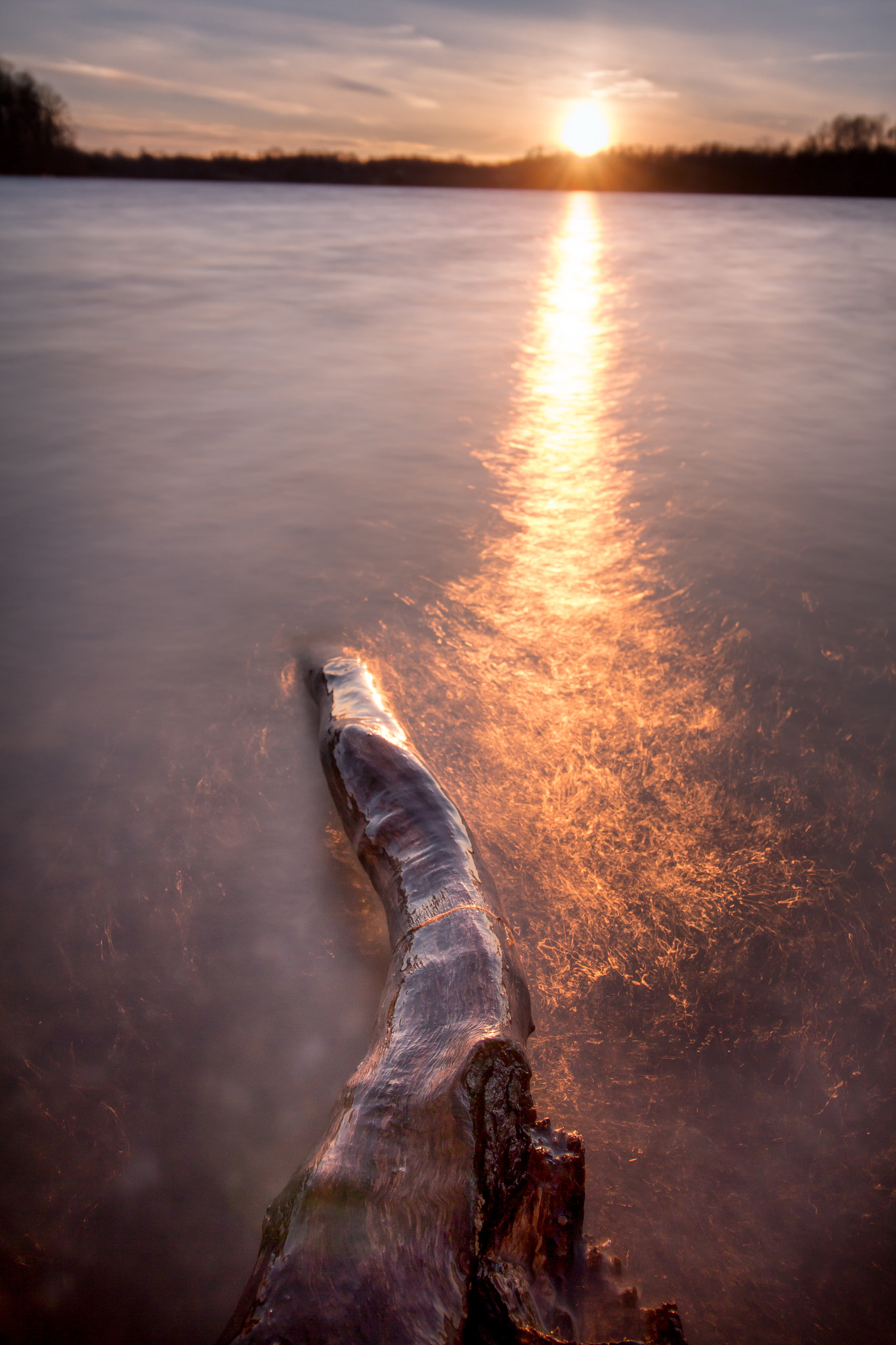 Canon EOS 700D (EOS Rebel T5i / EOS Kiss X7i) sample photo. Sunlit log photography
