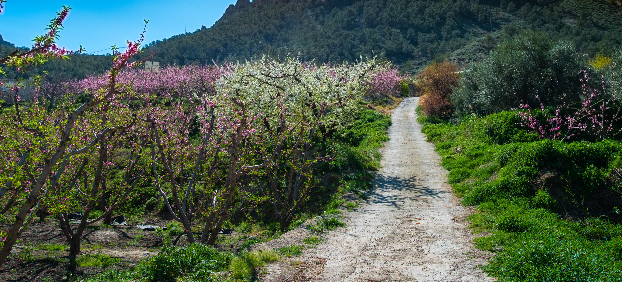 Nikon AF-S Nikkor 18-35mm F3.5-4.5G ED sample photo. Cieza 4 photography